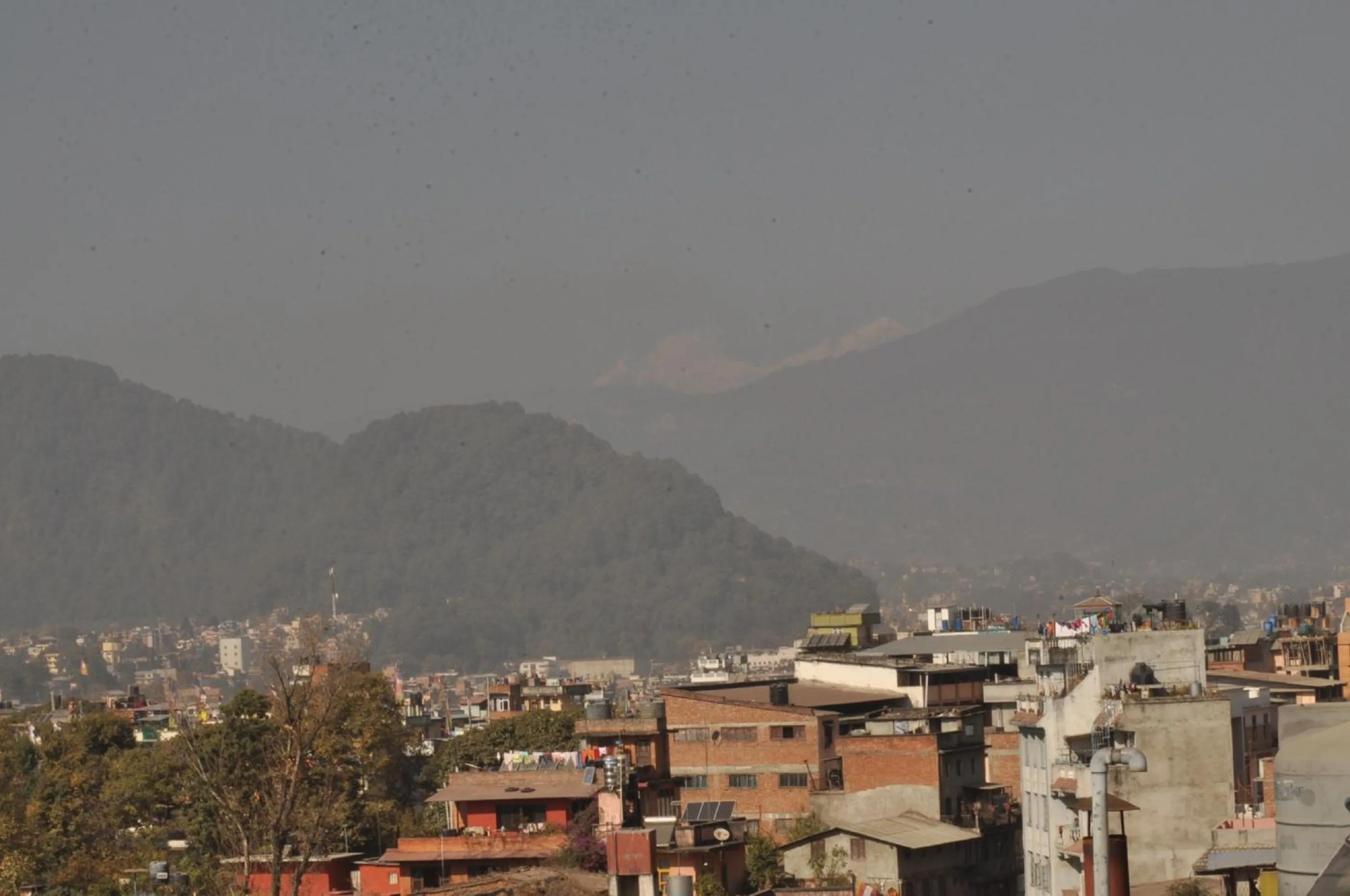 View (from property/room) in Tibet Guest House
