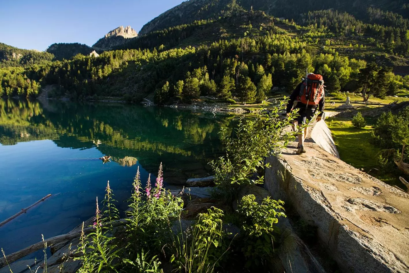 Natural landscape in Hotel Restaurant Les Brases