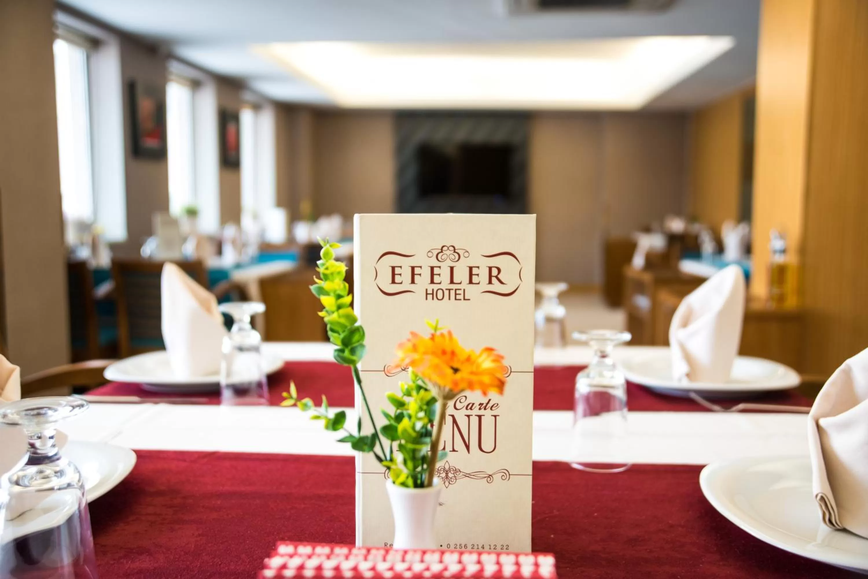 Meals in Efeler Hotel