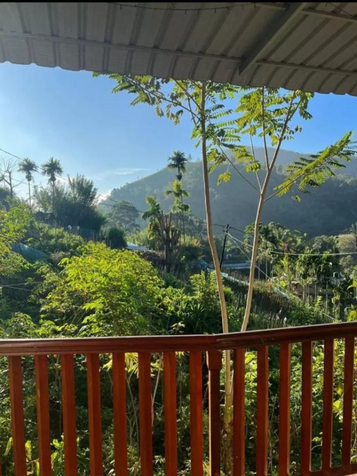 Mountain View in Saddle Cottage