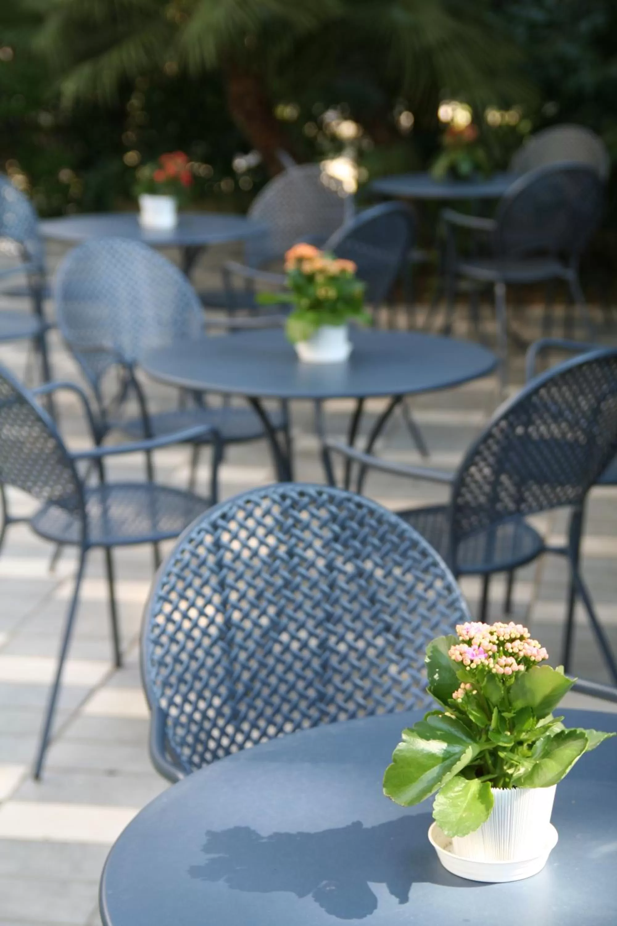 Day, Restaurant/Places to Eat in Hotel Augustus