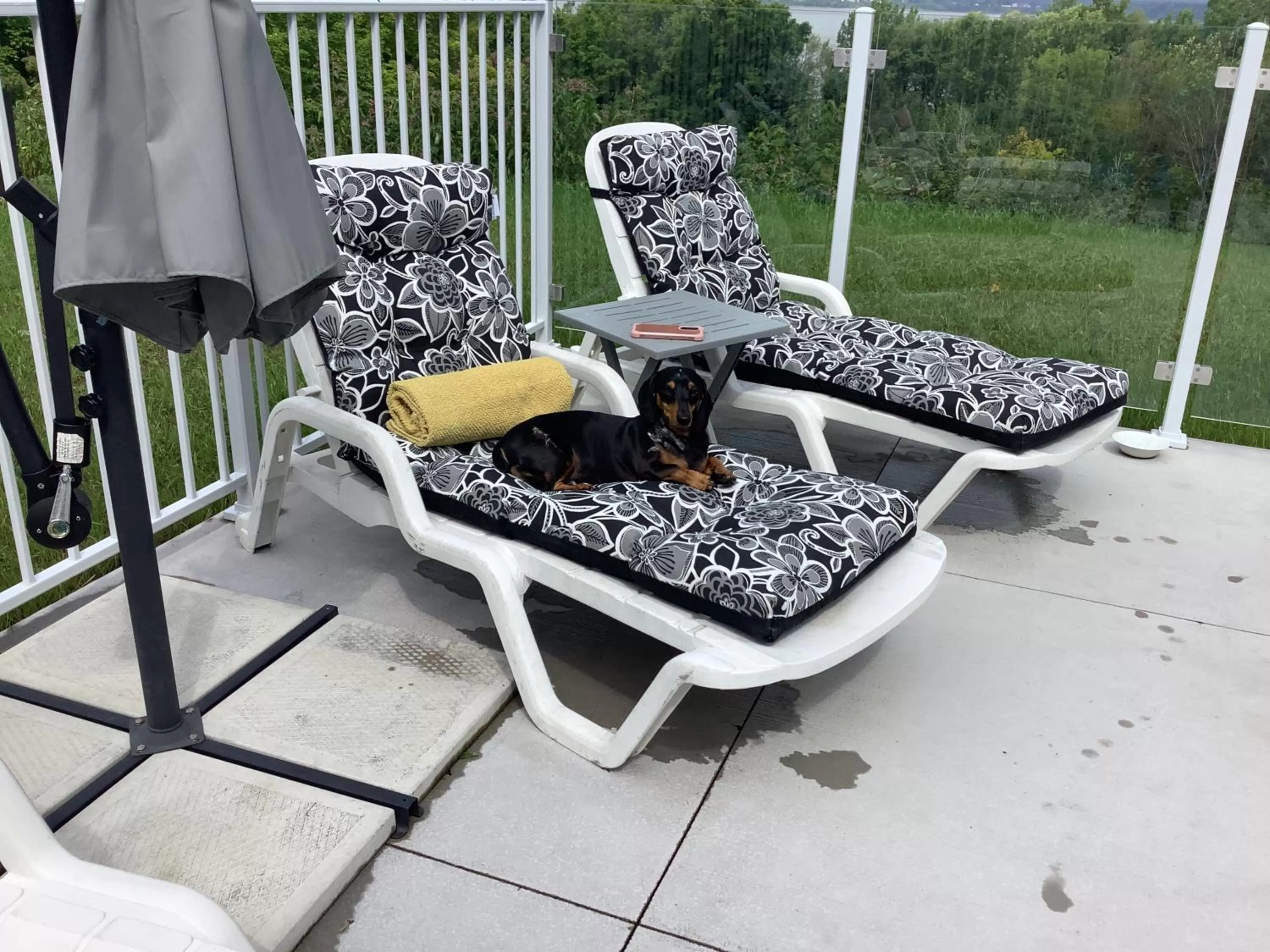 Les saisons du fleuve