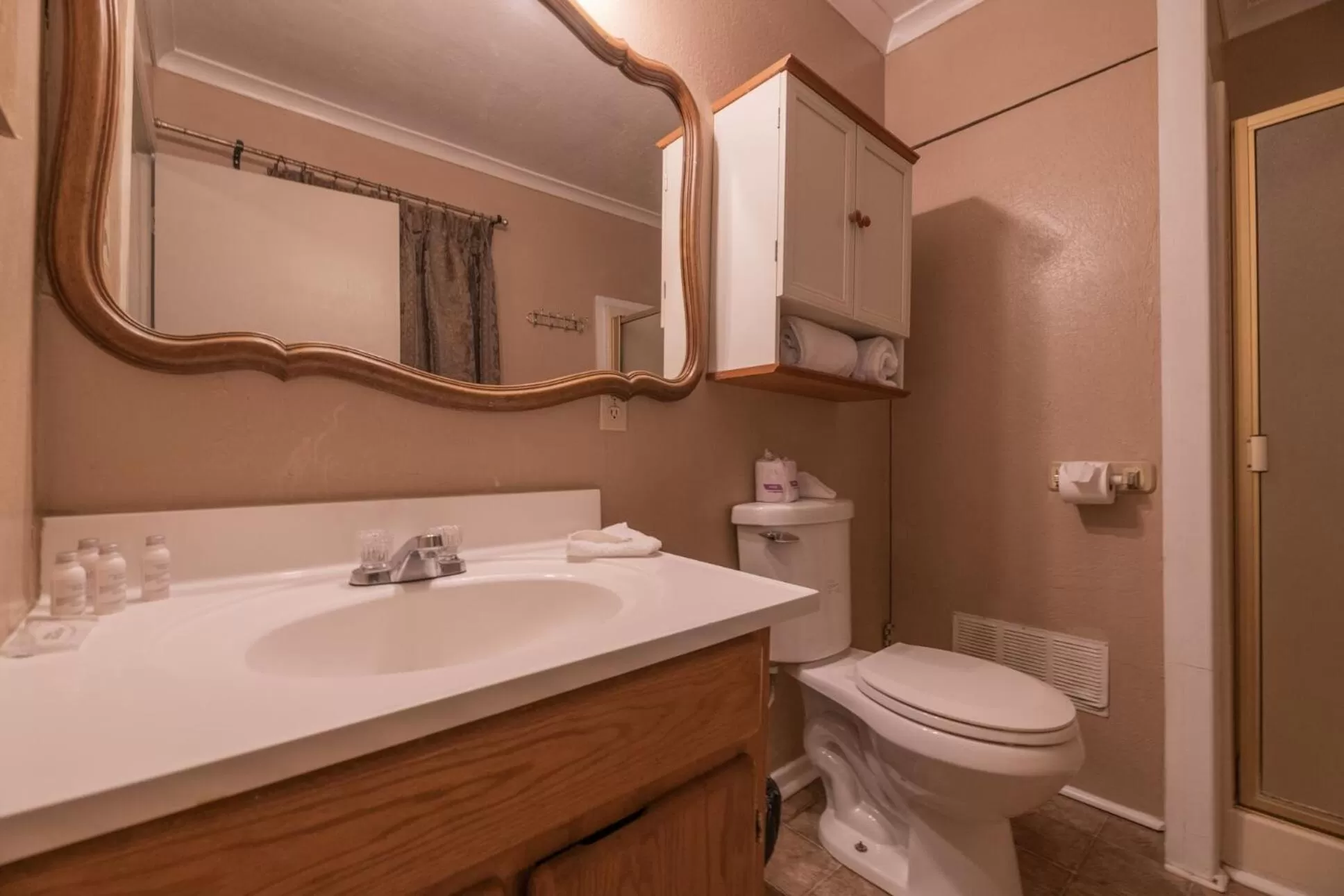 Bathroom in Black Forest Lodge