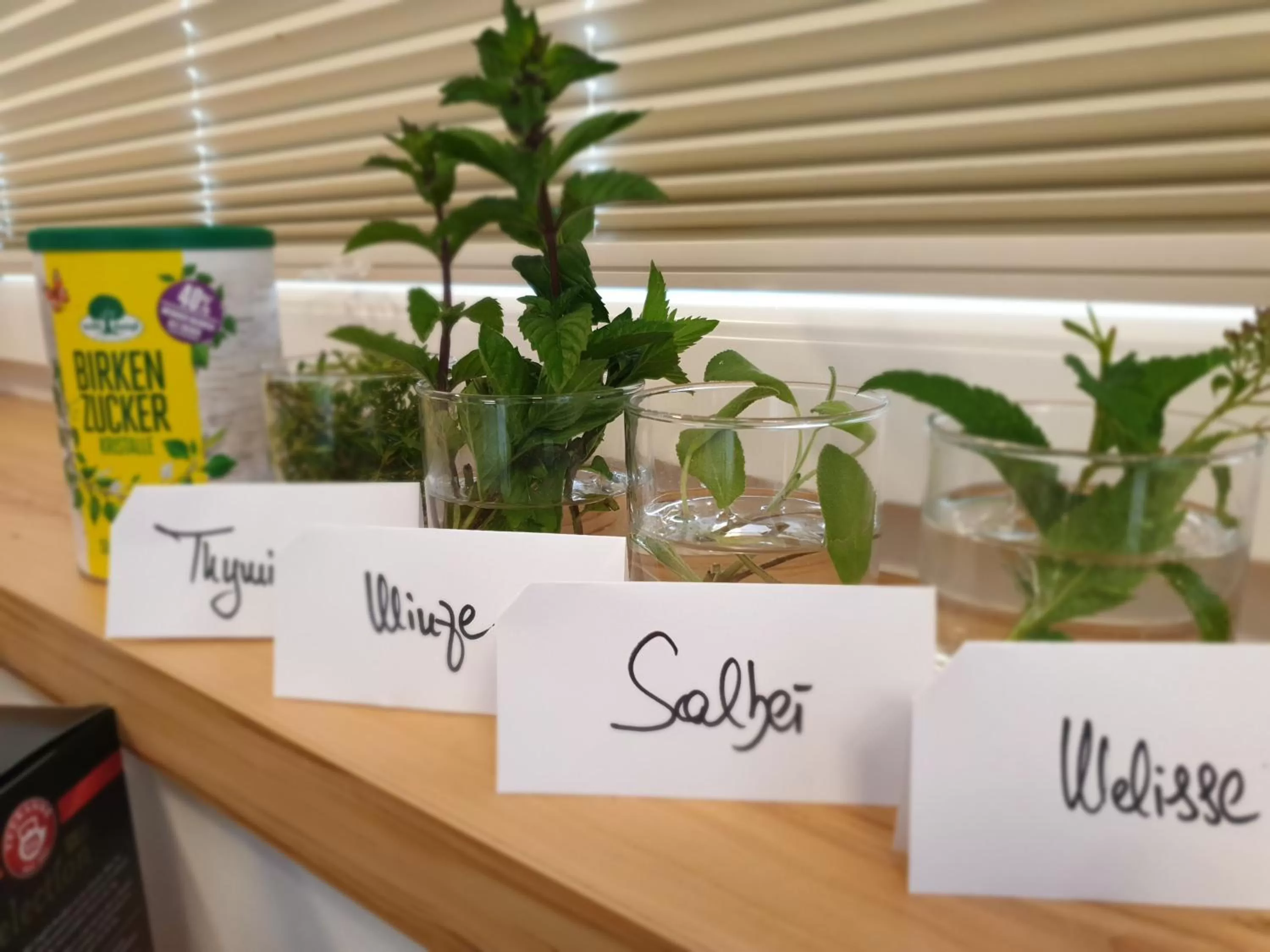 Breakfast, Property Logo/Sign in Bed and Breakfast Mittelkärnten