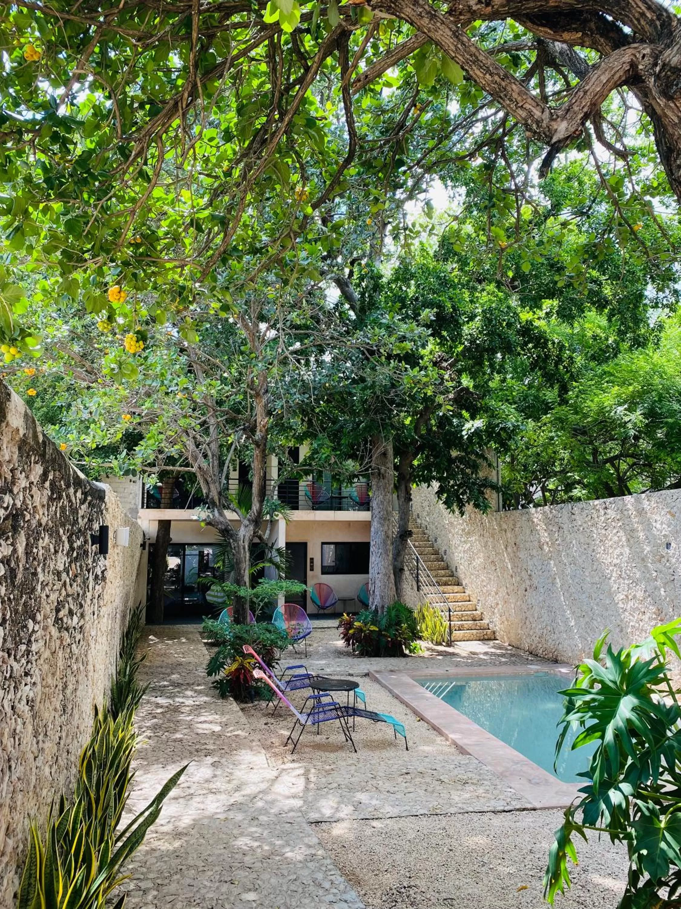 Day in Hotelito YUM KAAX