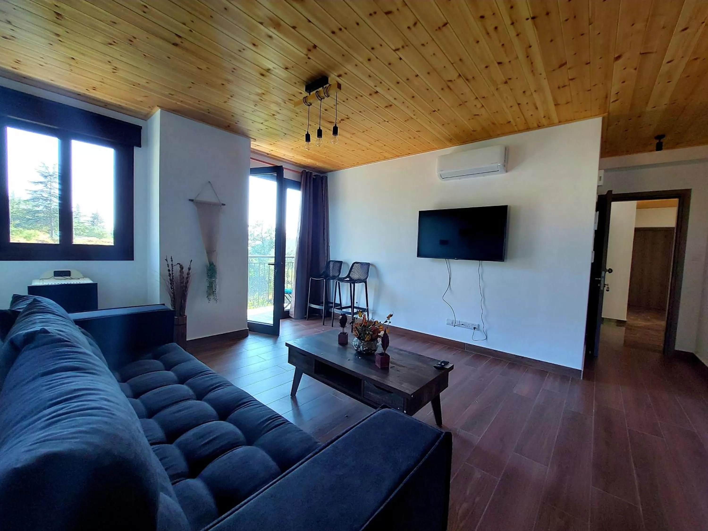 TV and multimedia in Agros Green Valley Suites