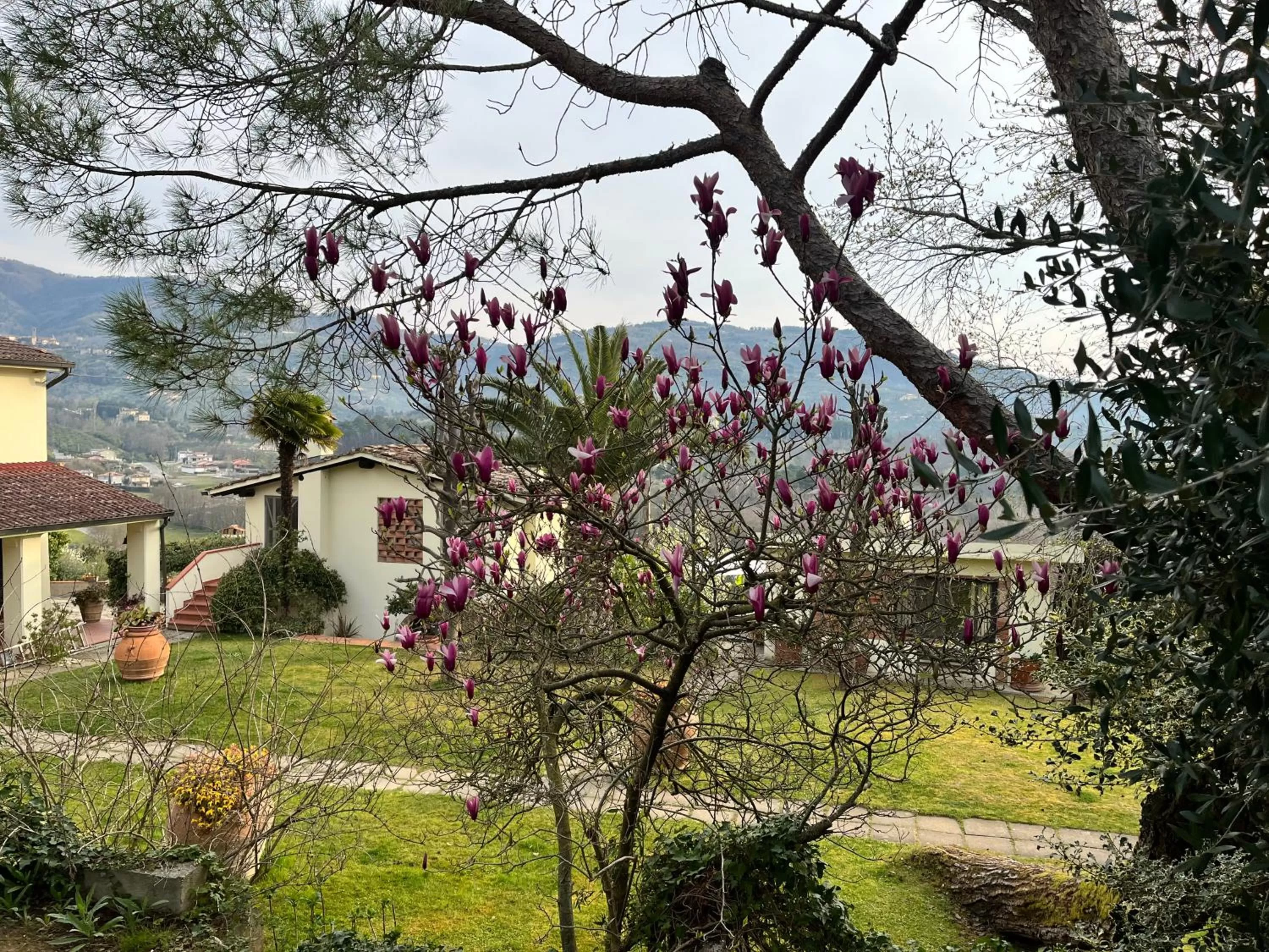 Garden view in Casa del Pino