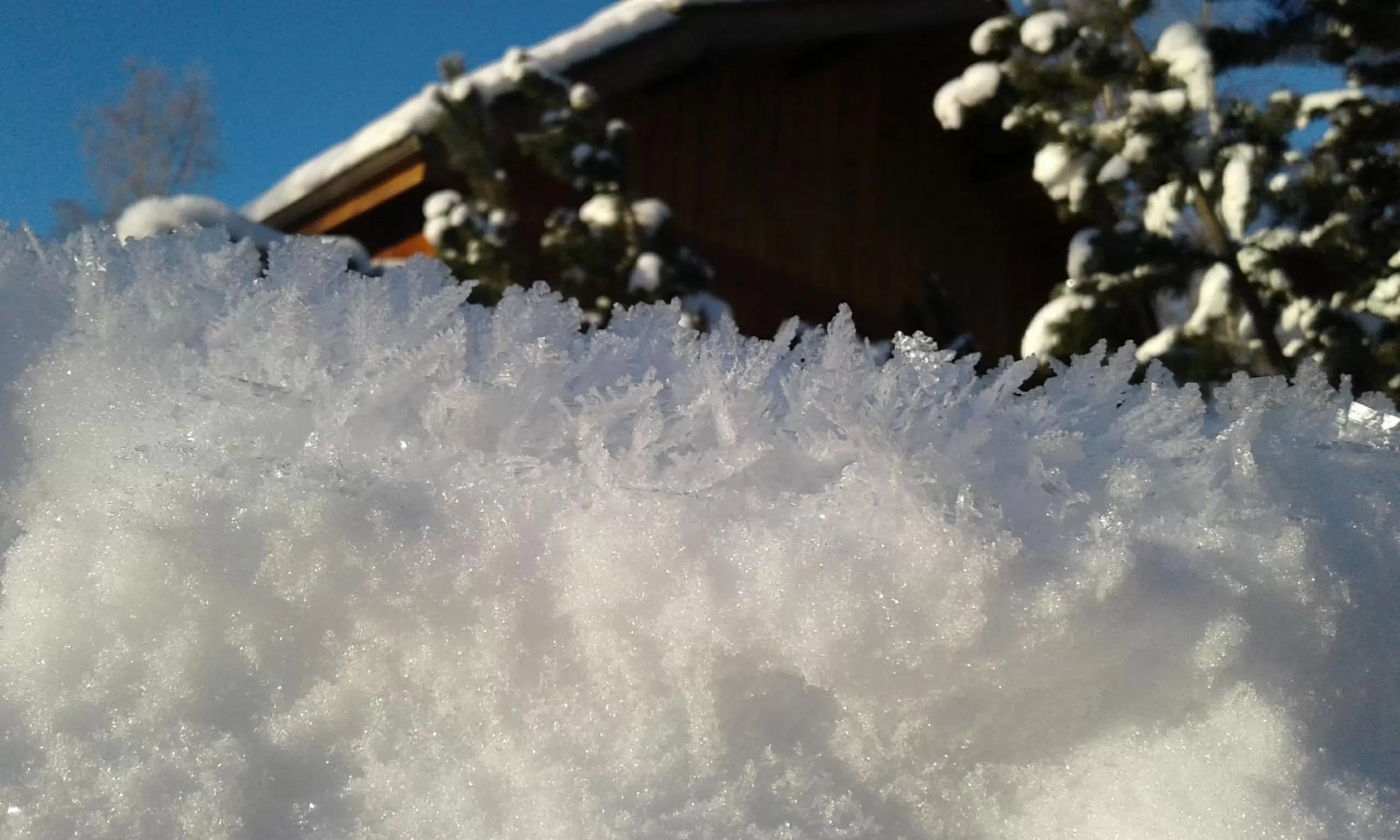 Alaska Chalet Bed & Breakfast