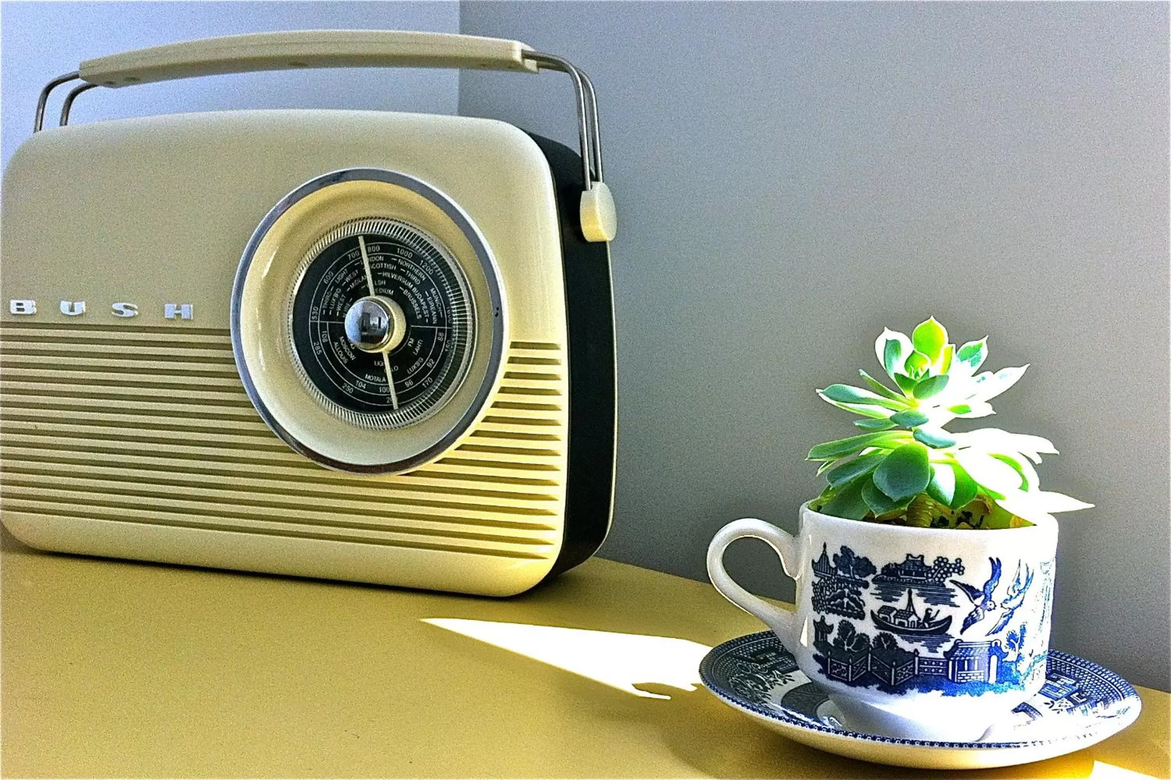 TV and multimedia in Sea Salt Bnb