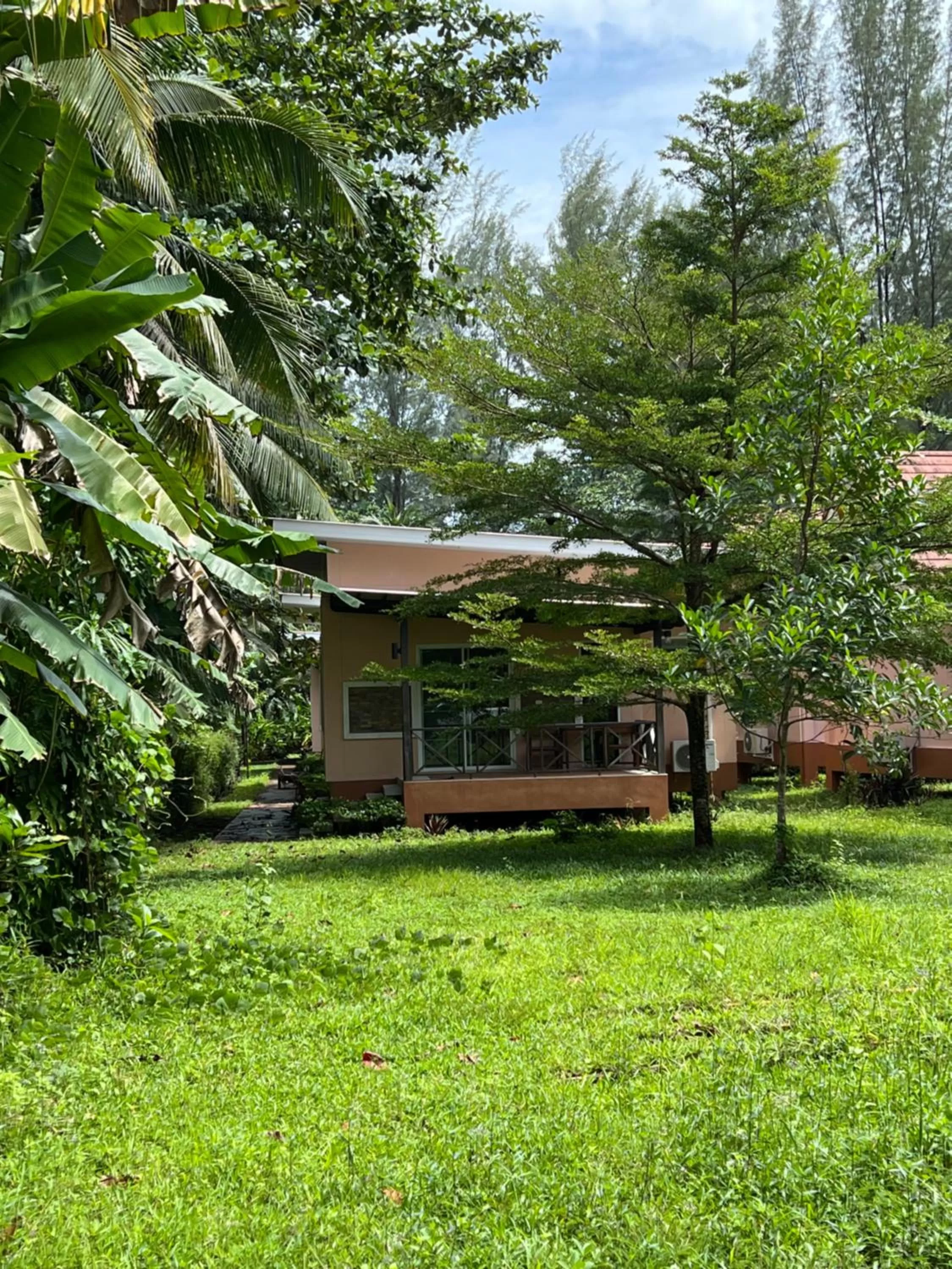 Garden in Ao Thong beach Bungalows
