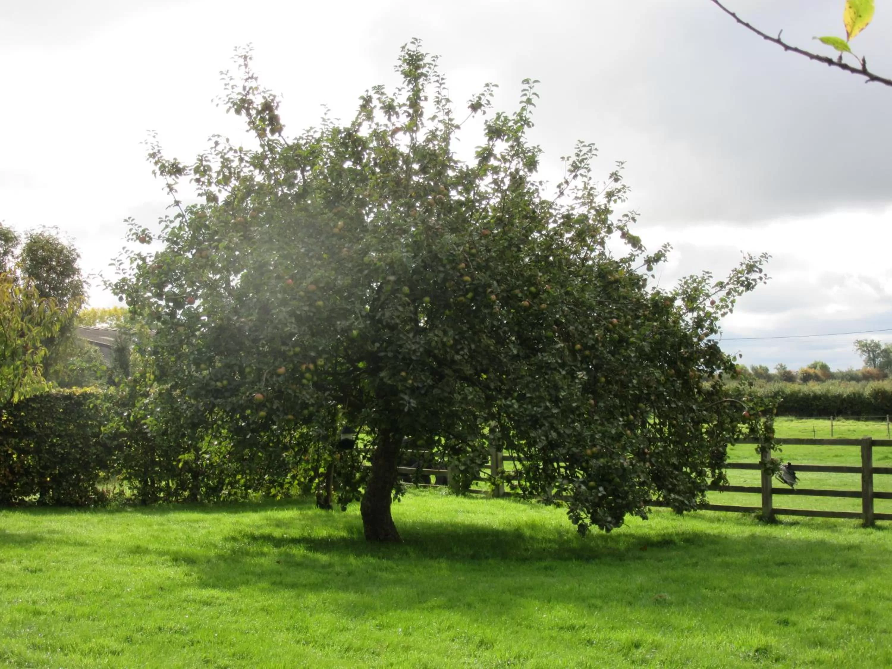 Garden in Weston Hill Farm