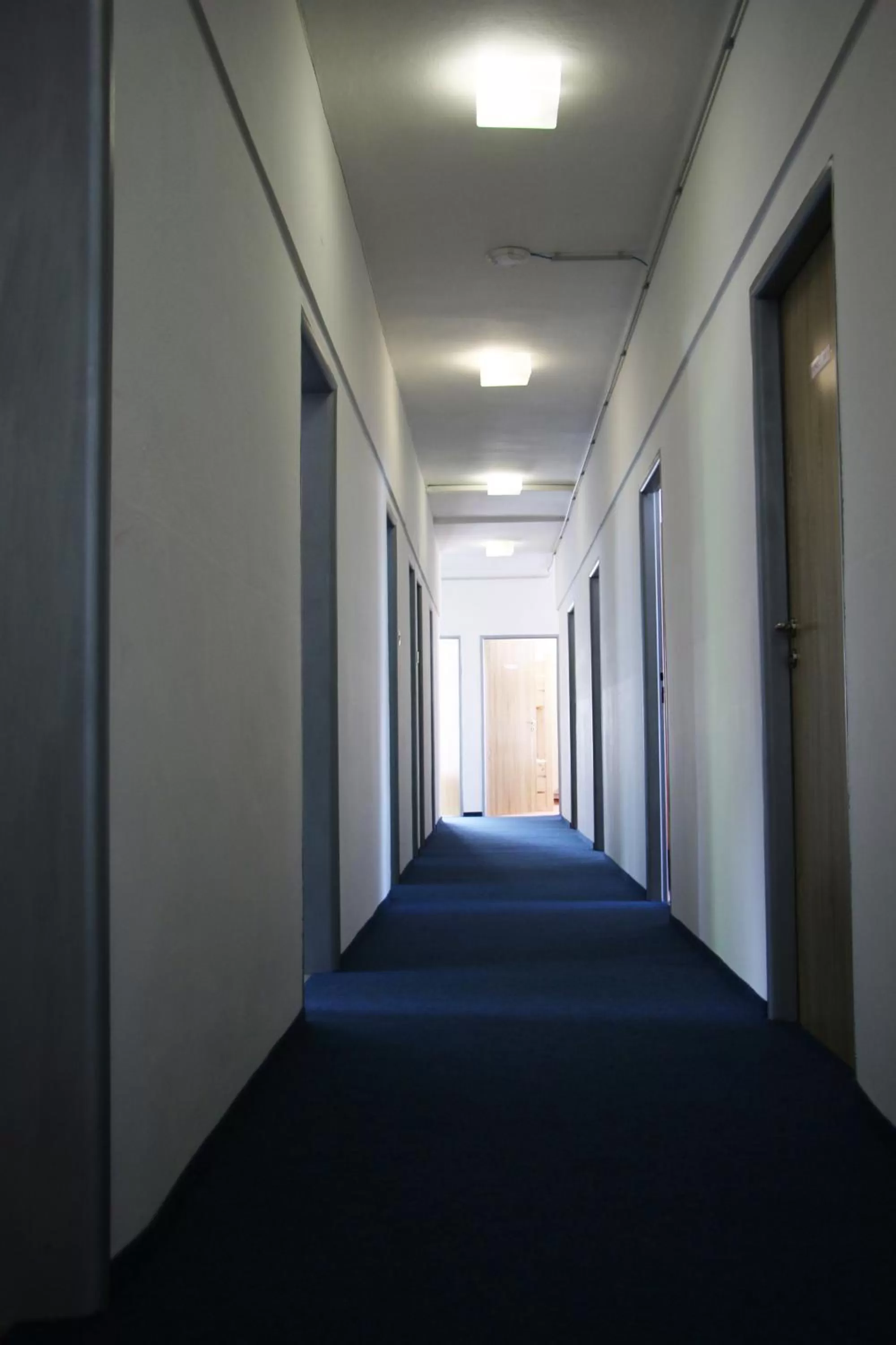 Area and facilities in Hotel Medlov