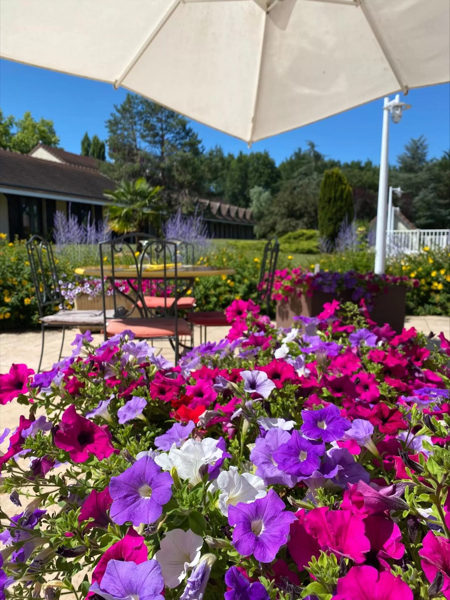 Balcony/Terrace in Mercure Auxerre Autoroute du Soleil