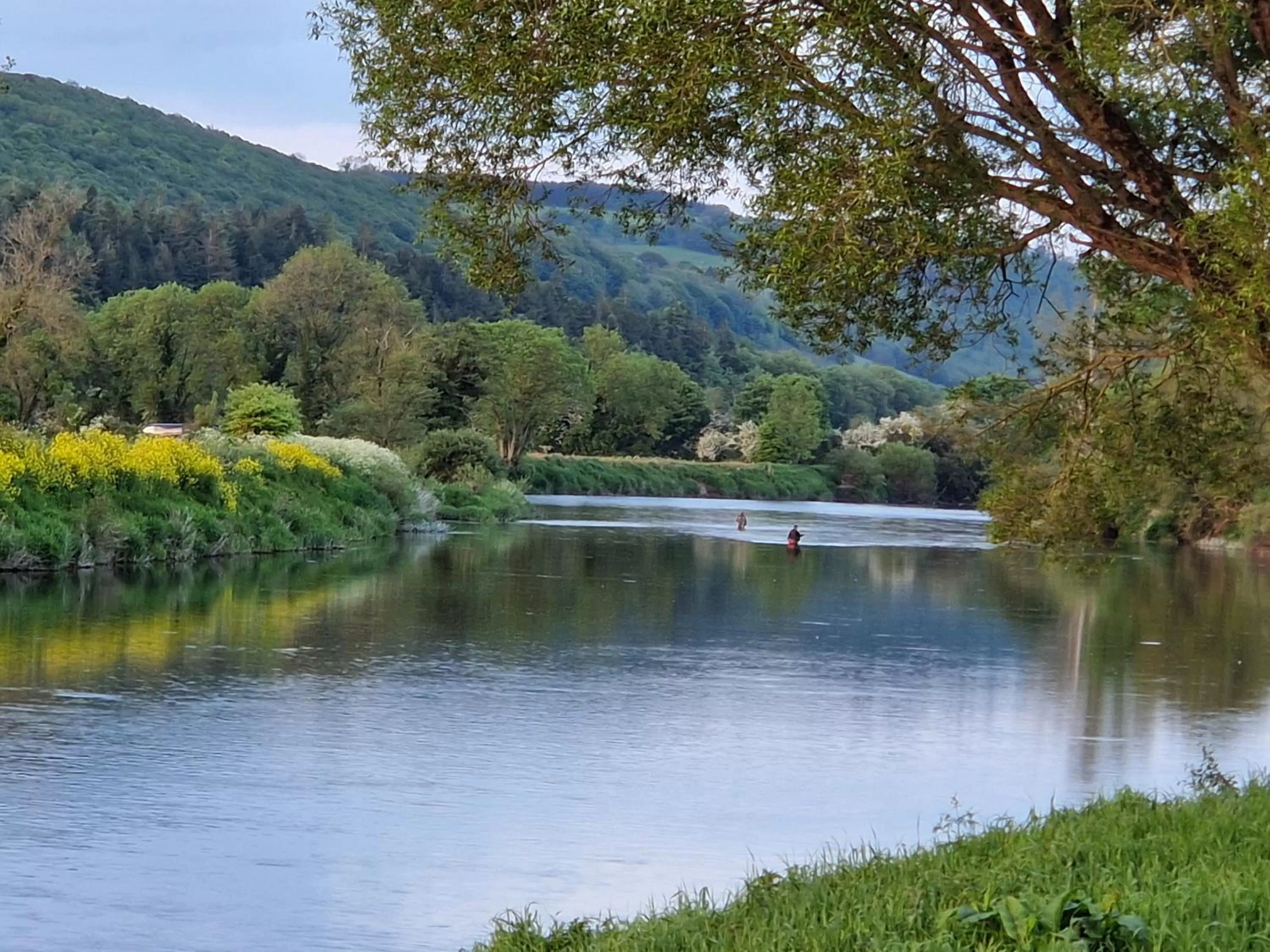 Cable Island Bed and Breakfast