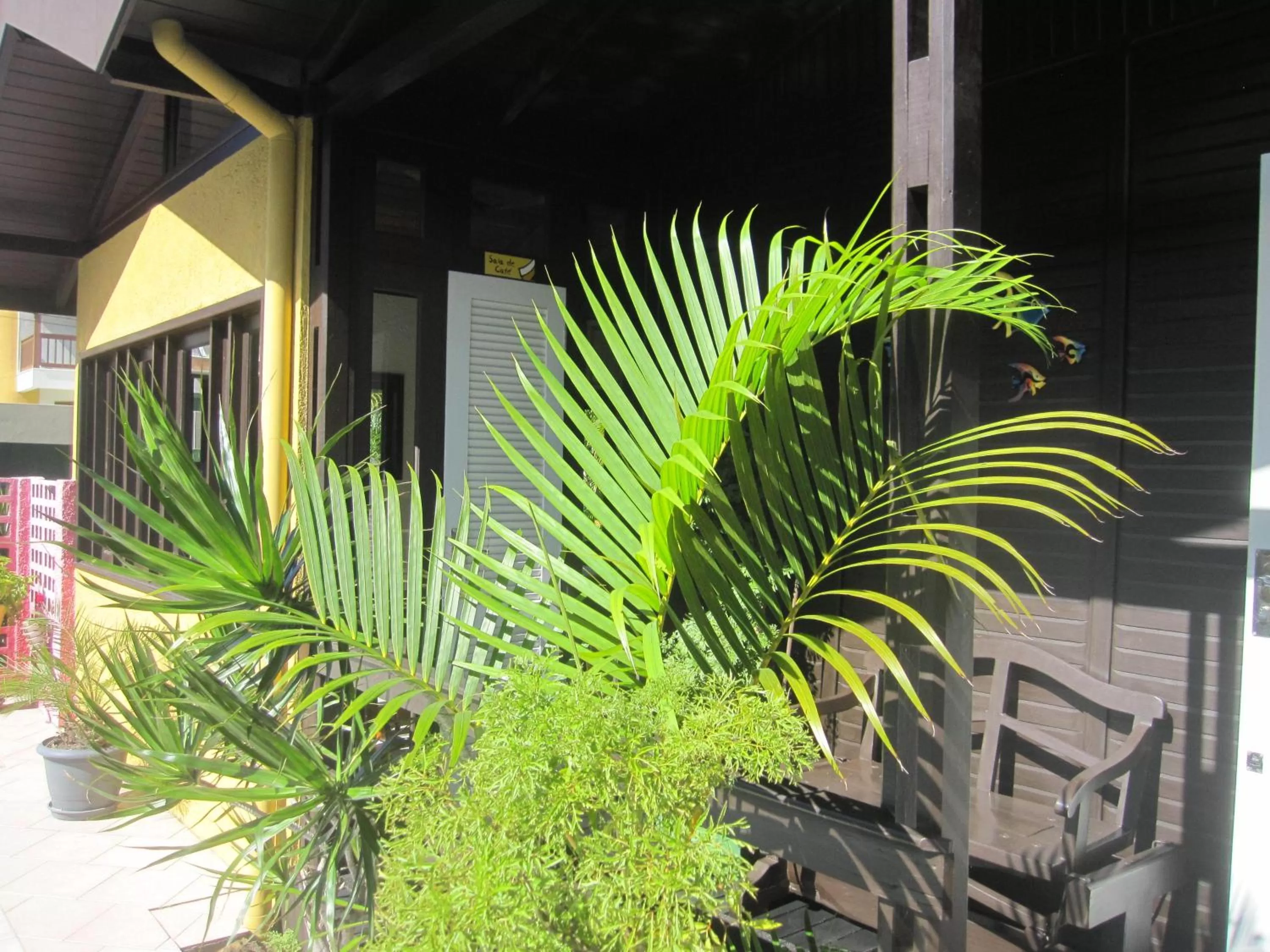 Balcony/Terrace in Pousada Vento Sul