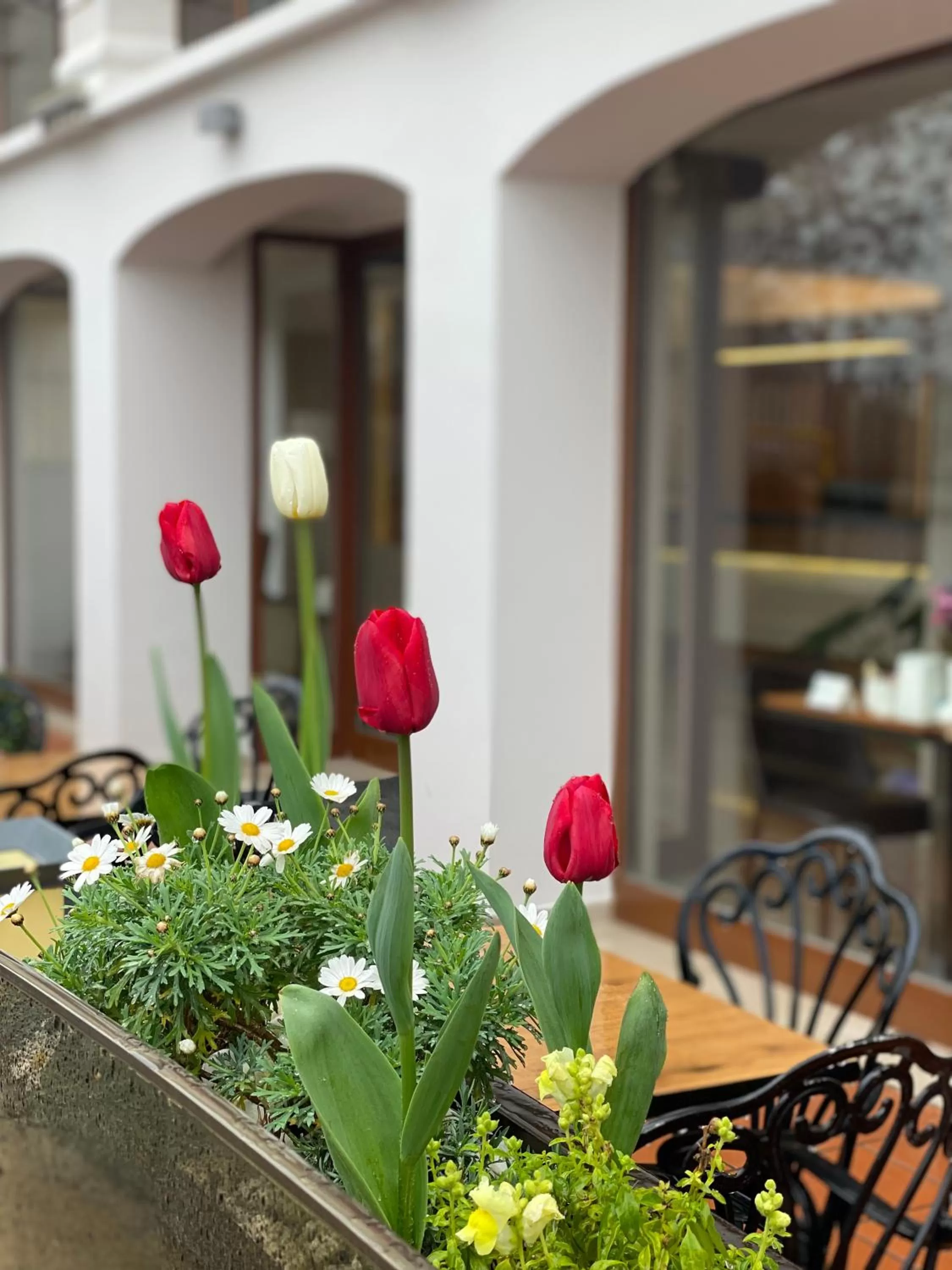 Property building in Blue Sea Hotel