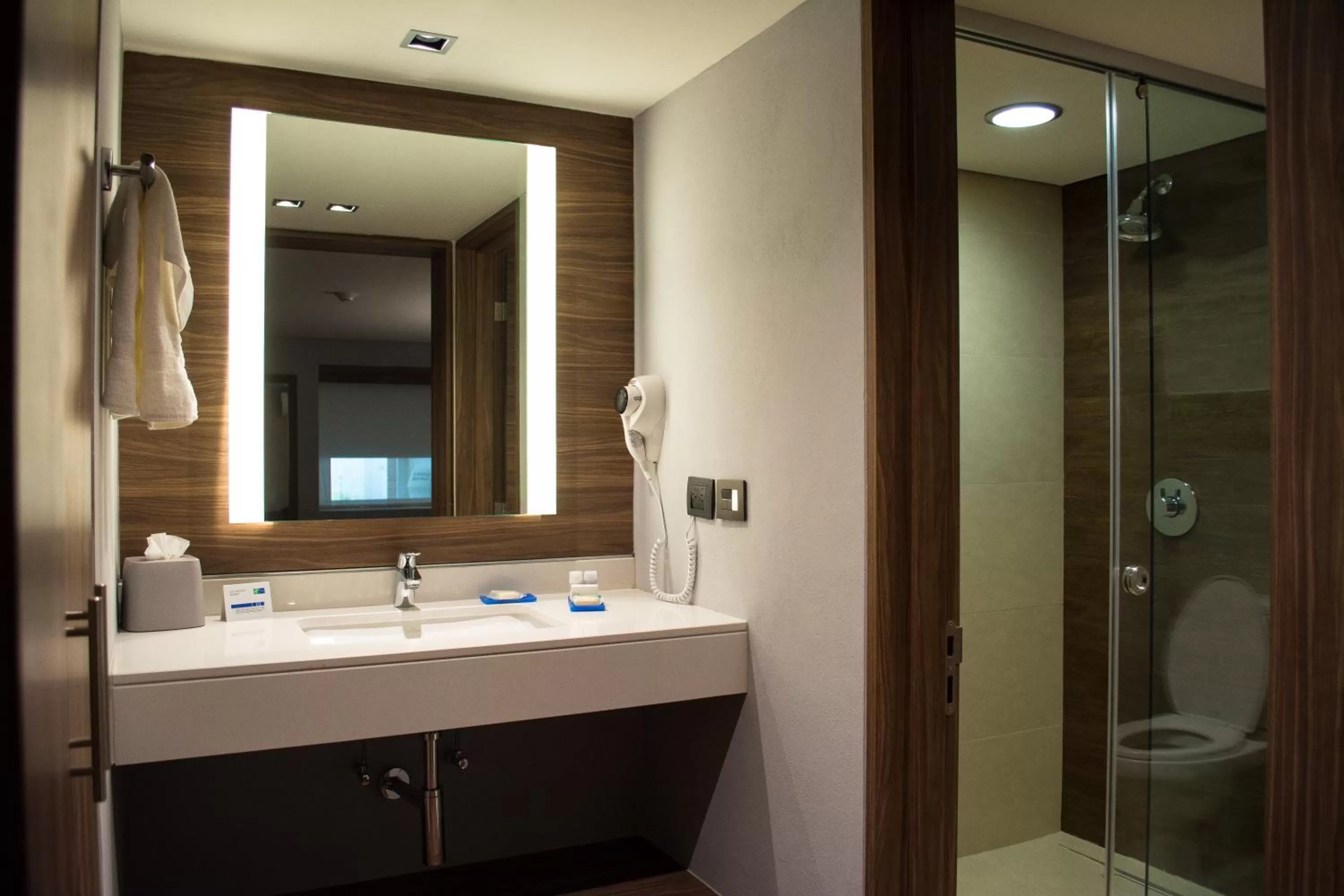 Bathroom in Holiday Inn Express Morelia by IHG
