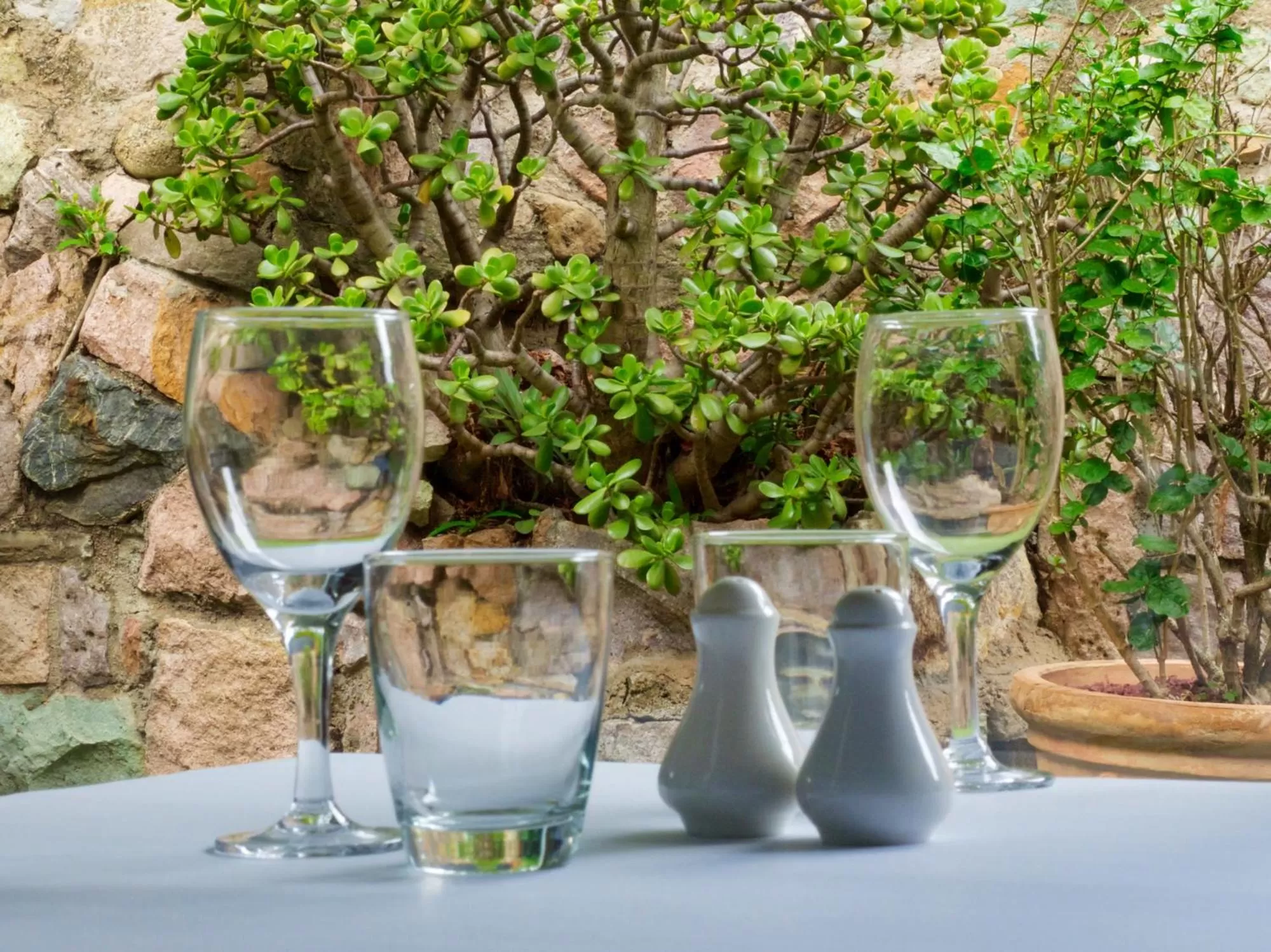 Restaurant/places to eat in Soho Brisbane