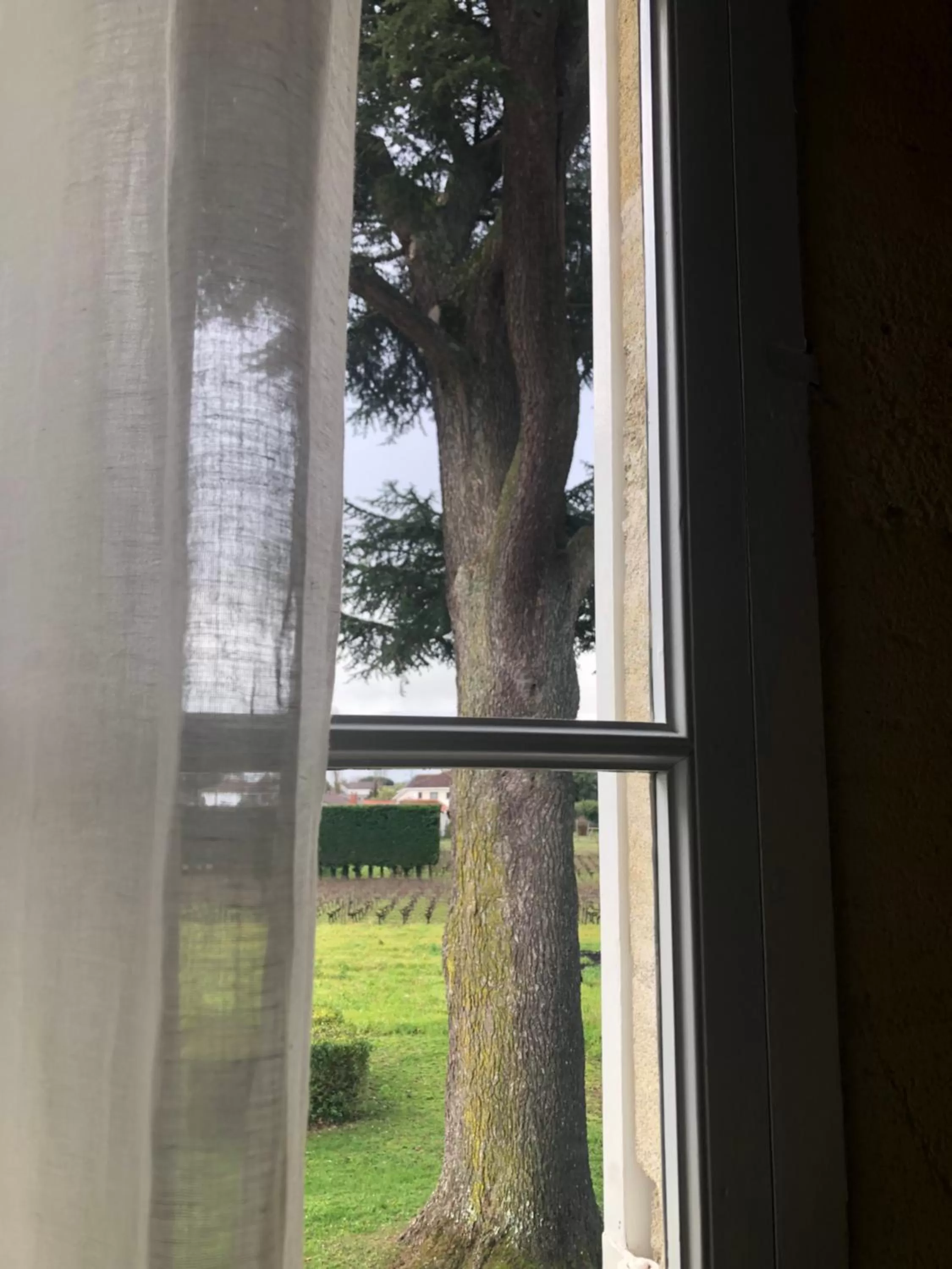 Property building in Château Bonalgue - Pomerol