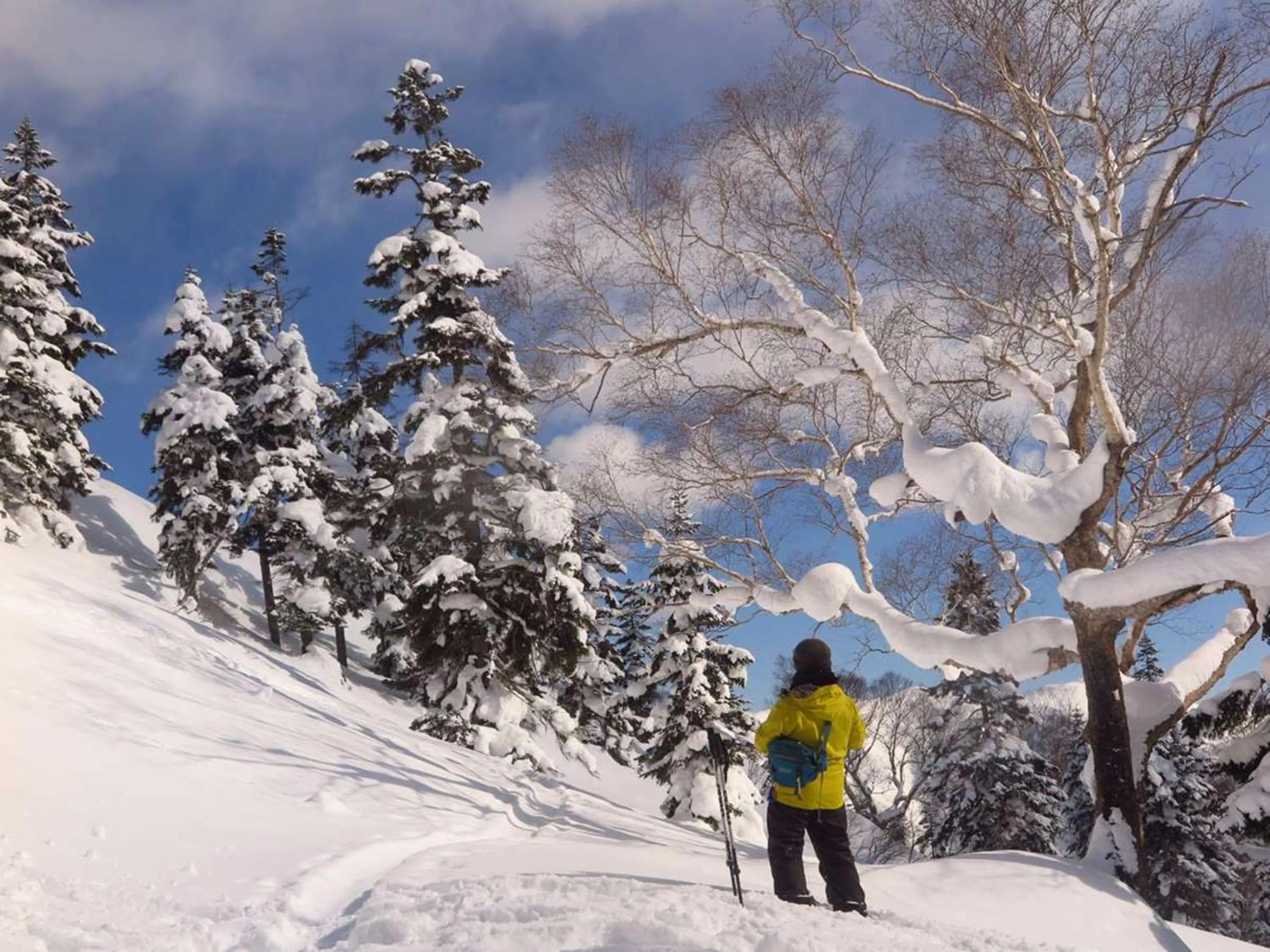 Winter in Naeba Prince Hotel