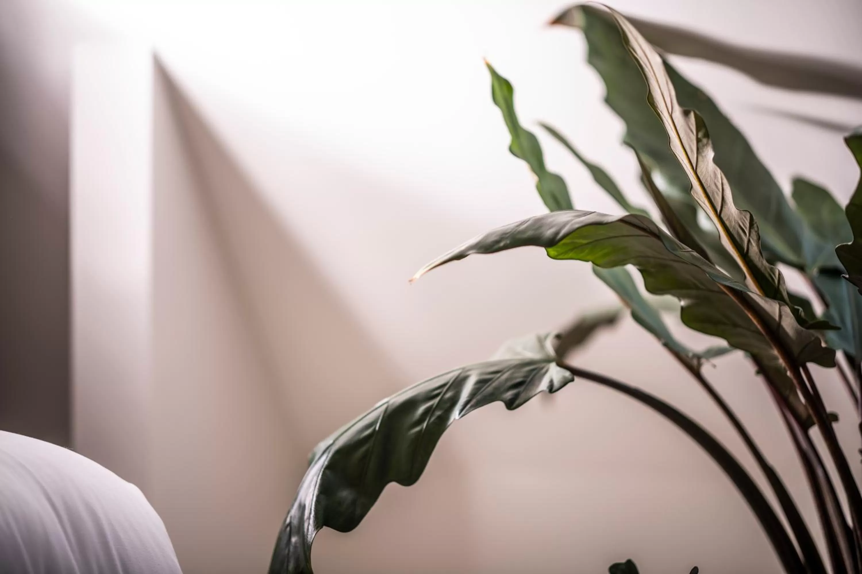 Bed in Nobel Houses & Lofts