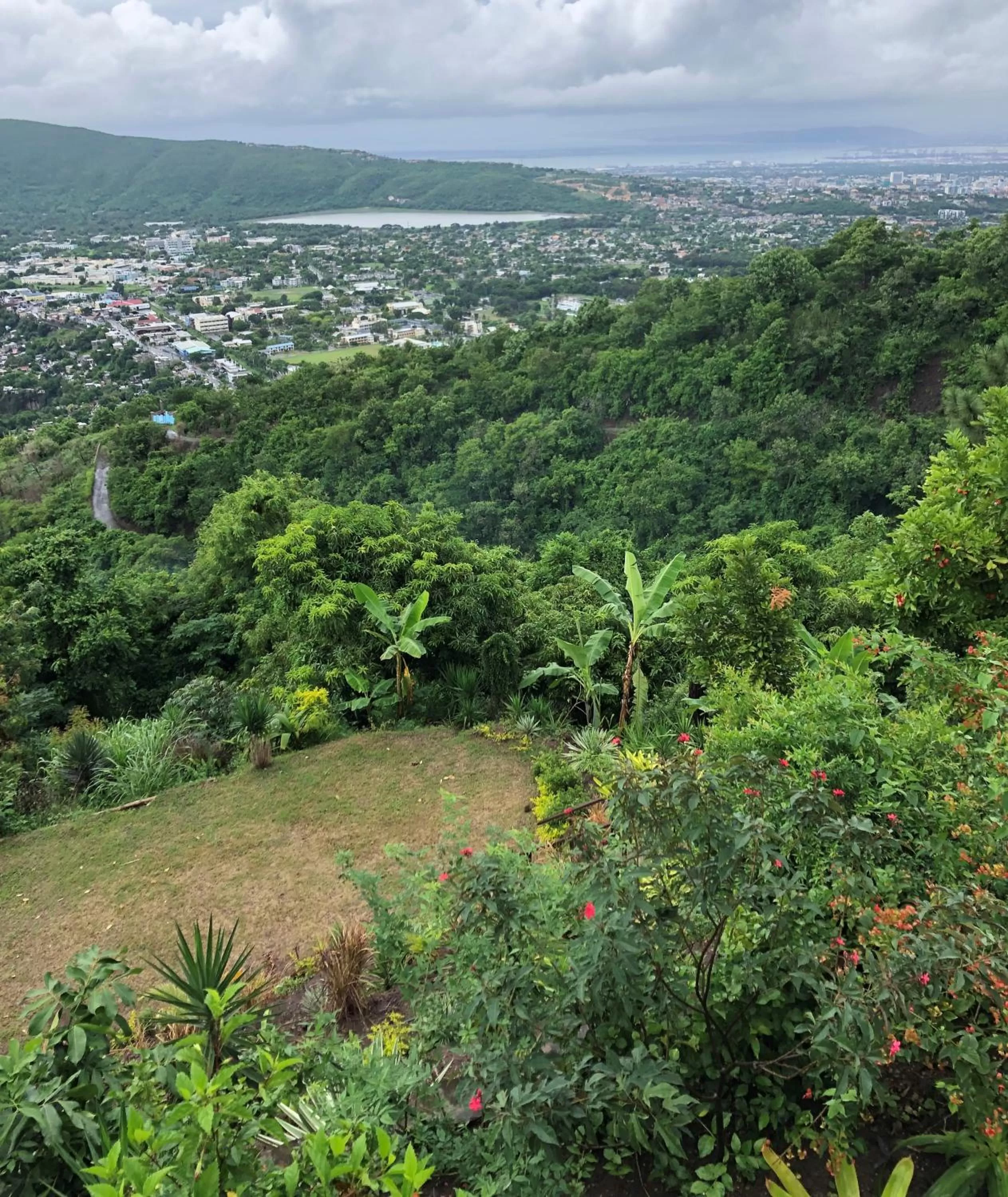 Garden in Tranquility Estate
