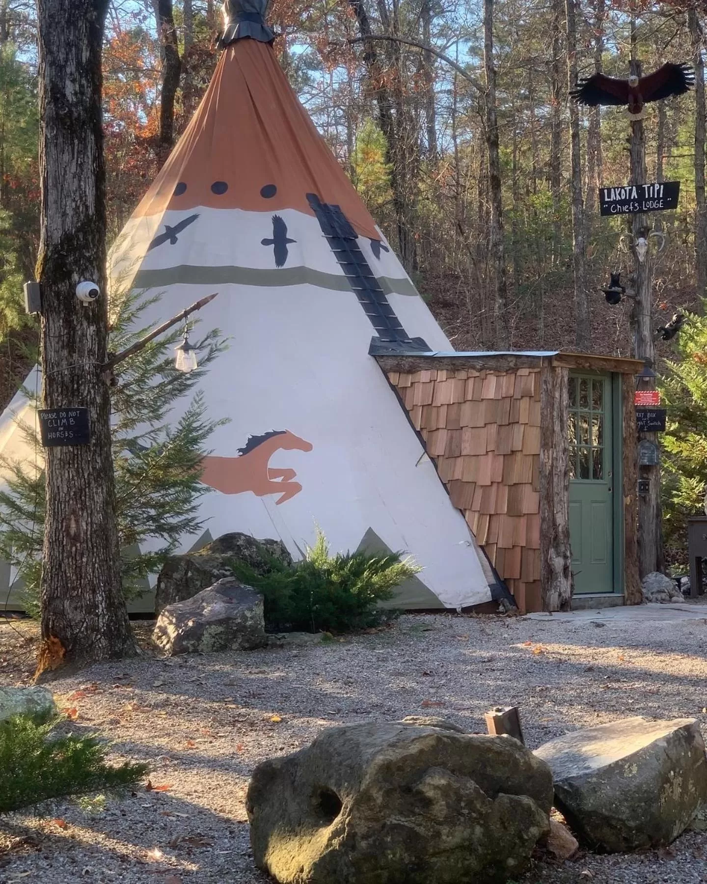 Property Building in Fox Pass Cabins