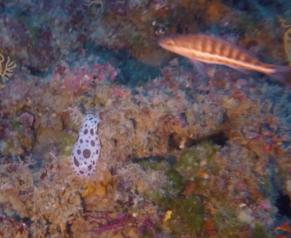 Off site in La Villa Del Patrizio