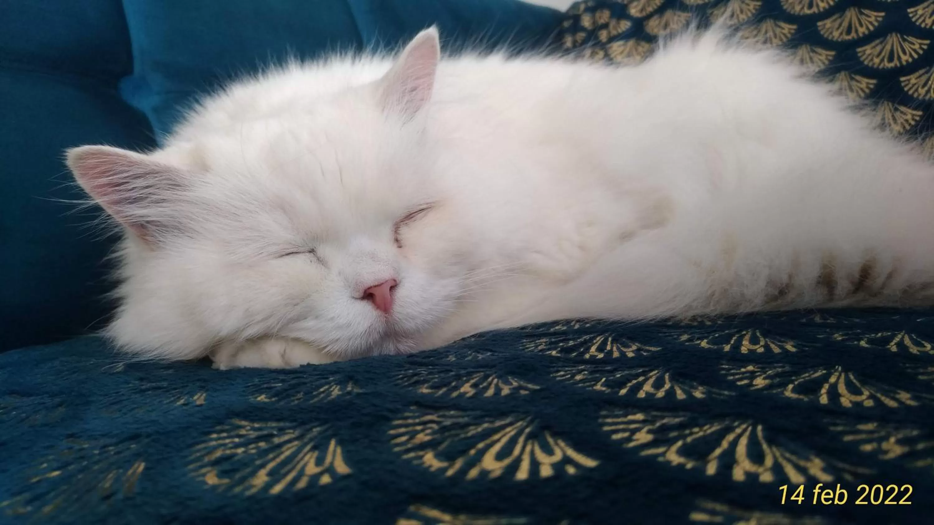 Communal lounge/ TV room in B&B Be Home