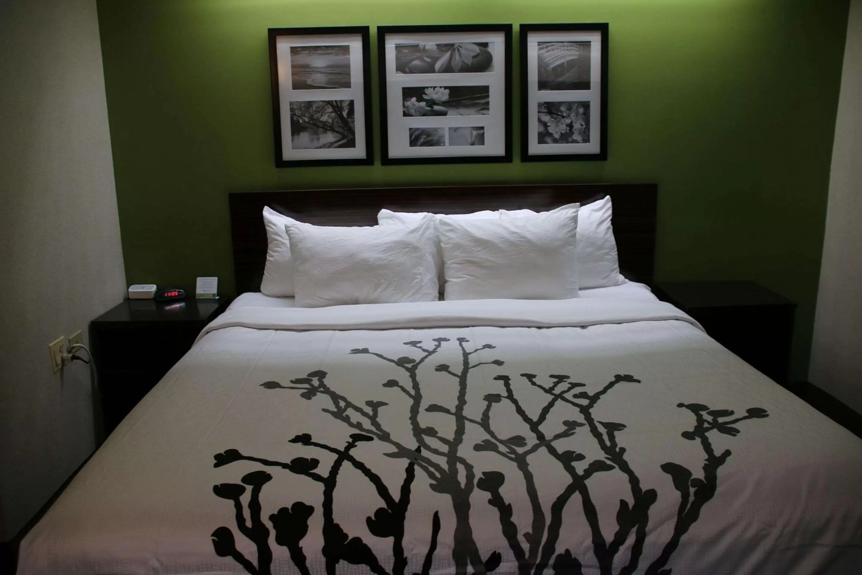 Photo of the whole room, Bed in Sleep Inn near Great Lakes Naval Base