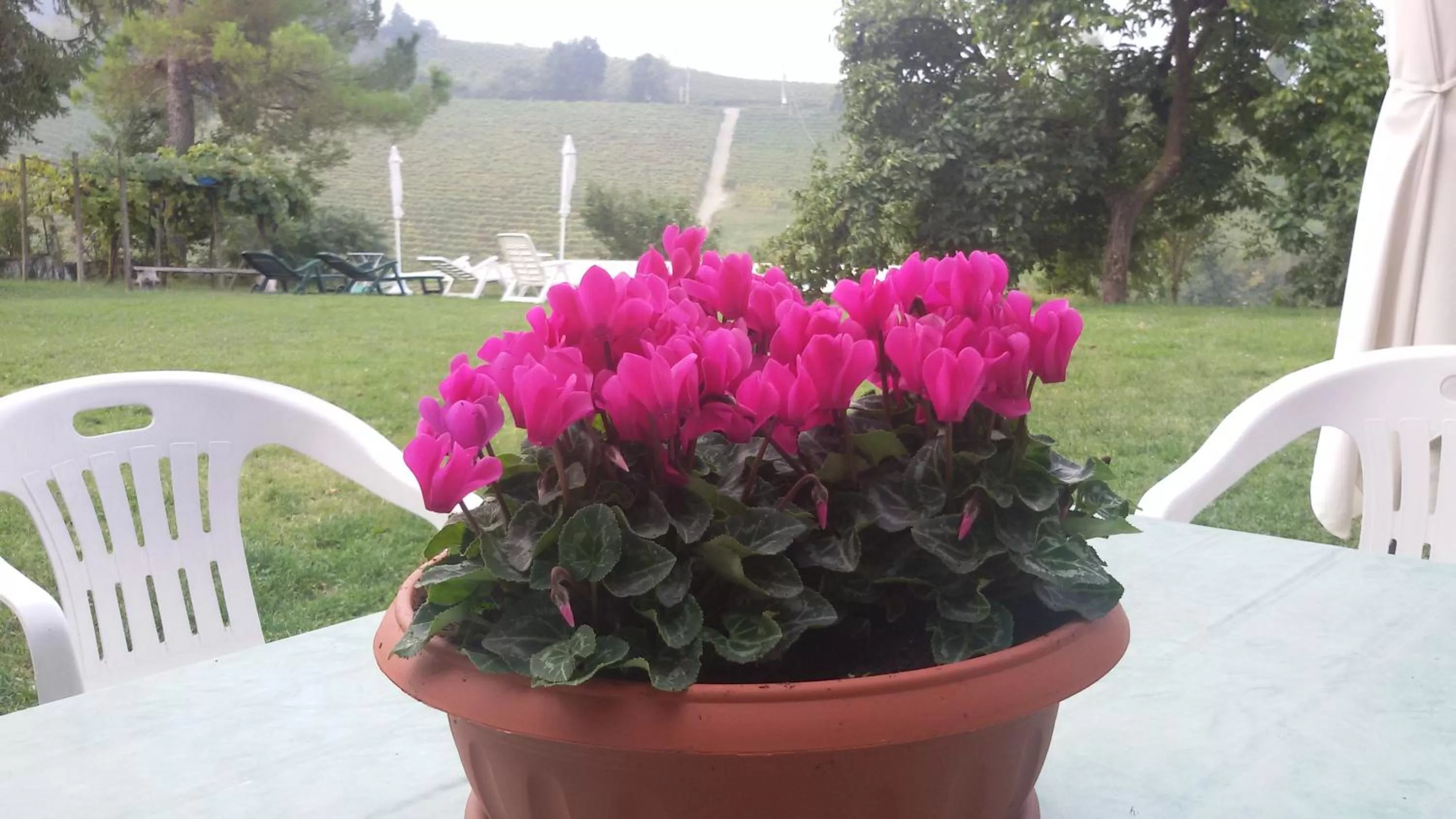 Area and facilities in Cascina Torello