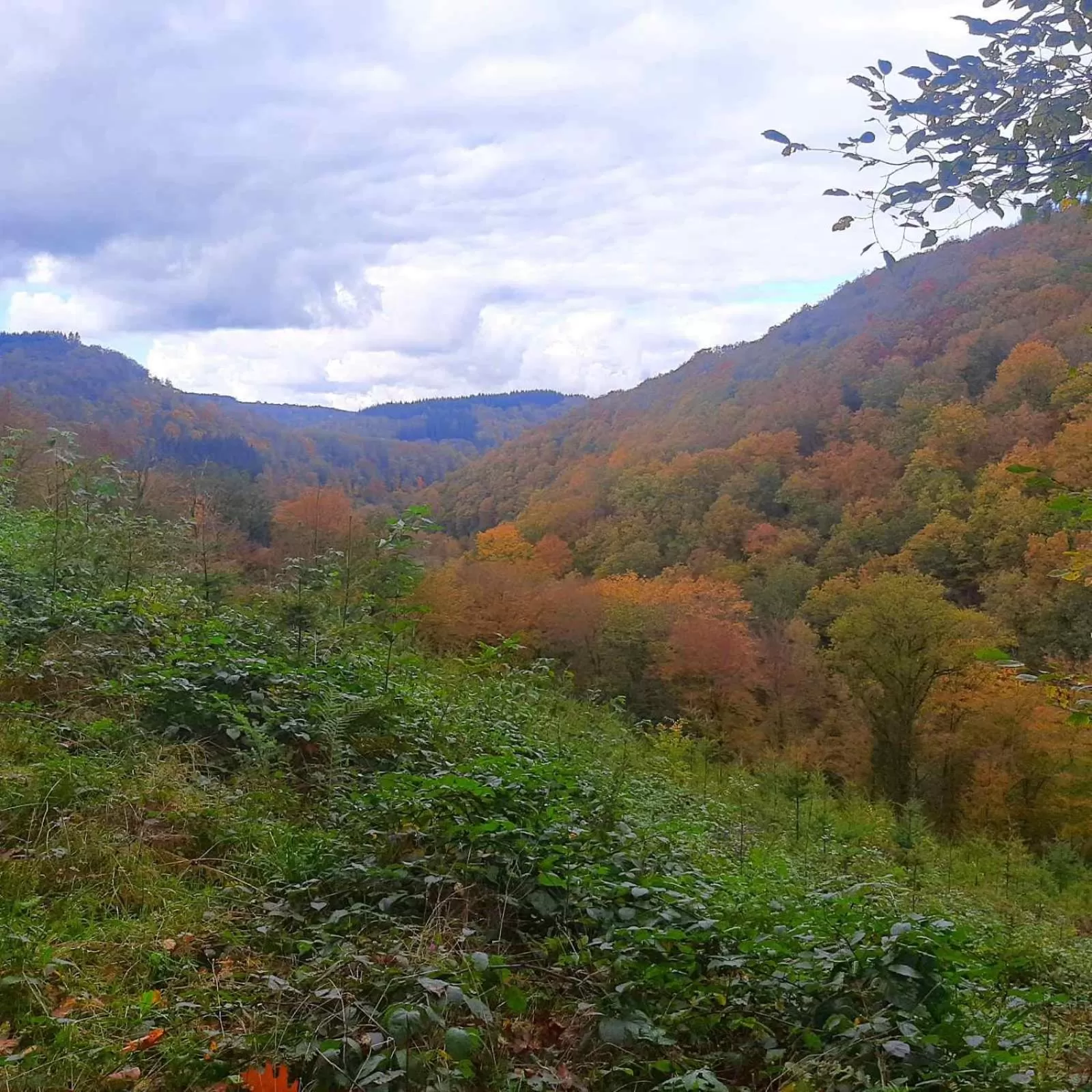 Off site, Mountain View in Golden Lion