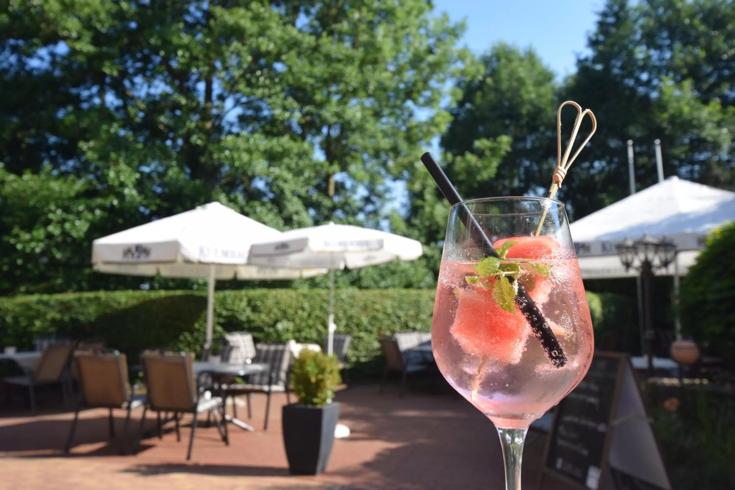 Garden in Alte Mühle Hotel & Restaurant