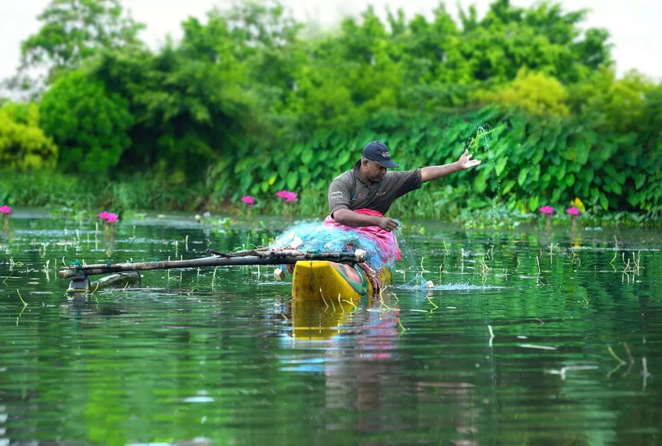 Other Animals in Opulent River Face Hotel