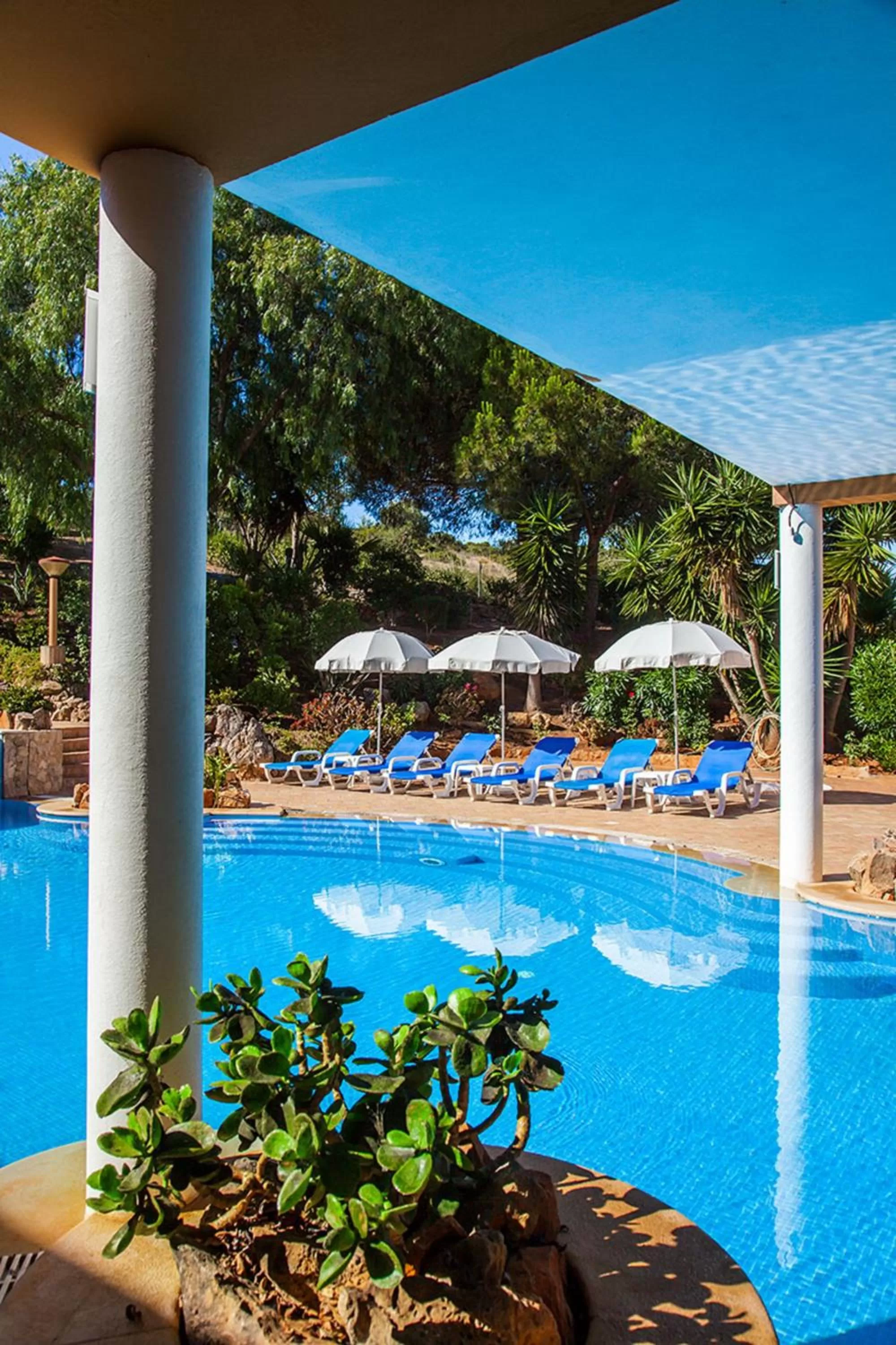 Swimming pool in Montinho De Ouro