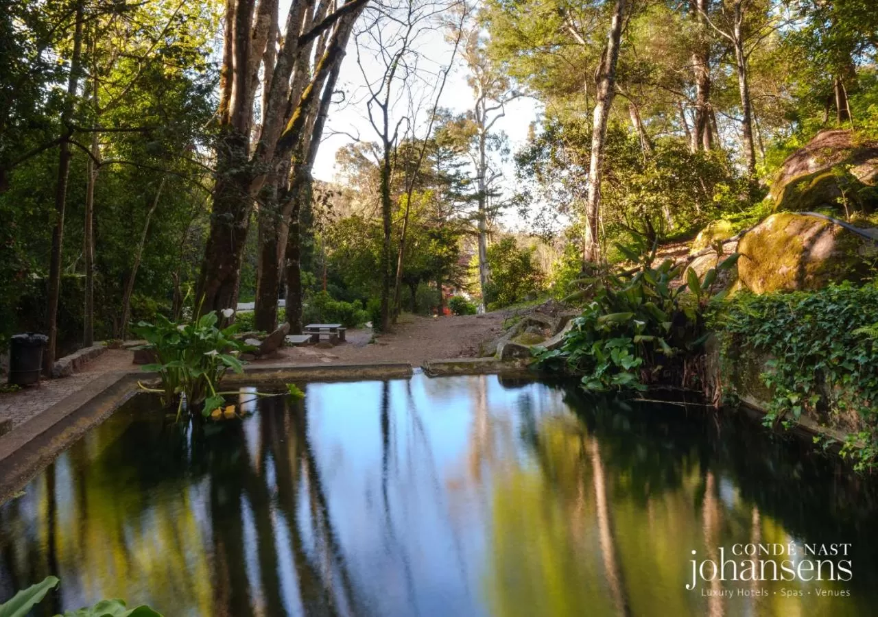 Off site in Pure Monchique Hotel - Villa Termal Spa Resort - by Unlock Hotels