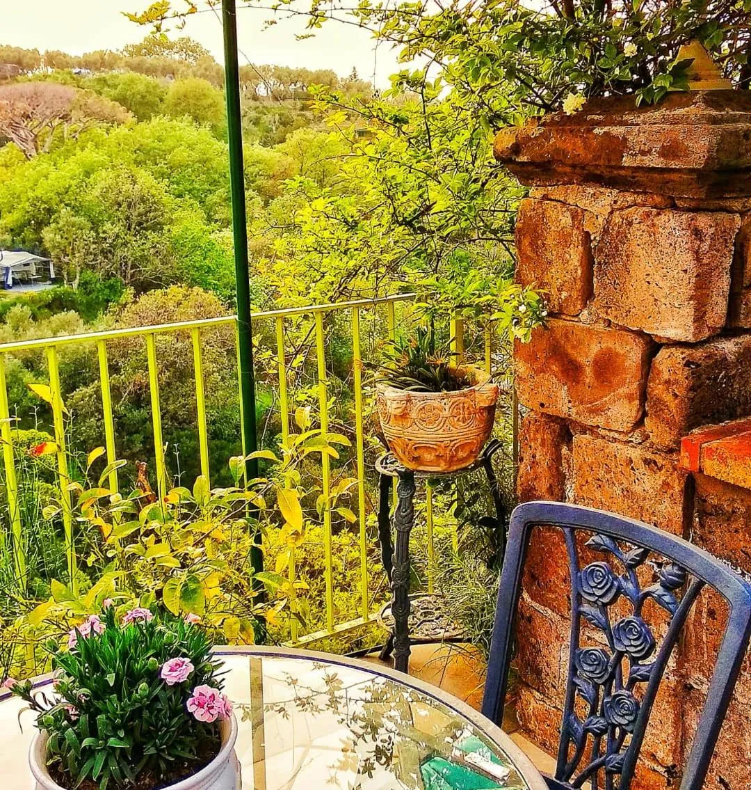 Patio in Hotel Desiree