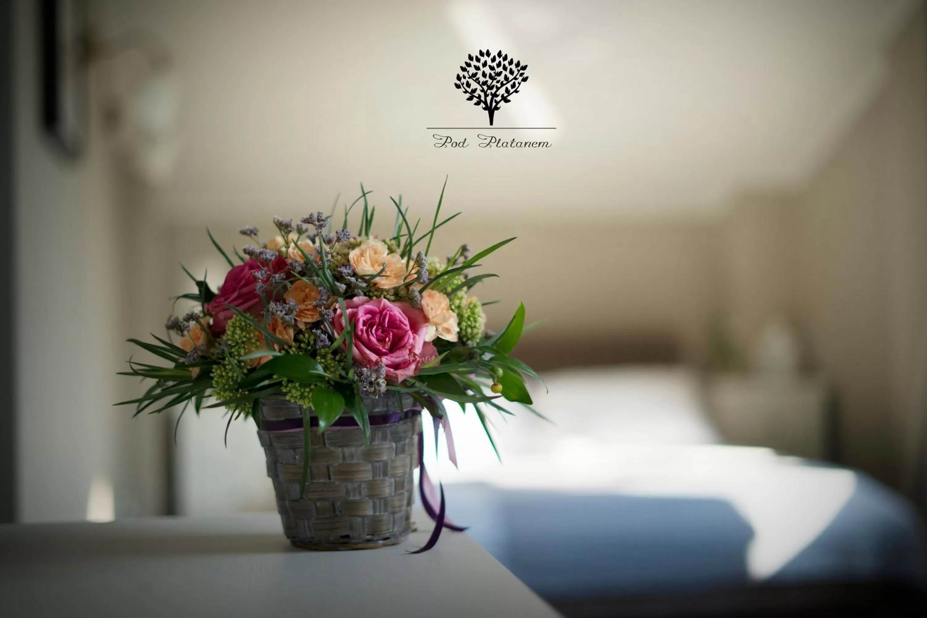 Pod Platanem Gliwice