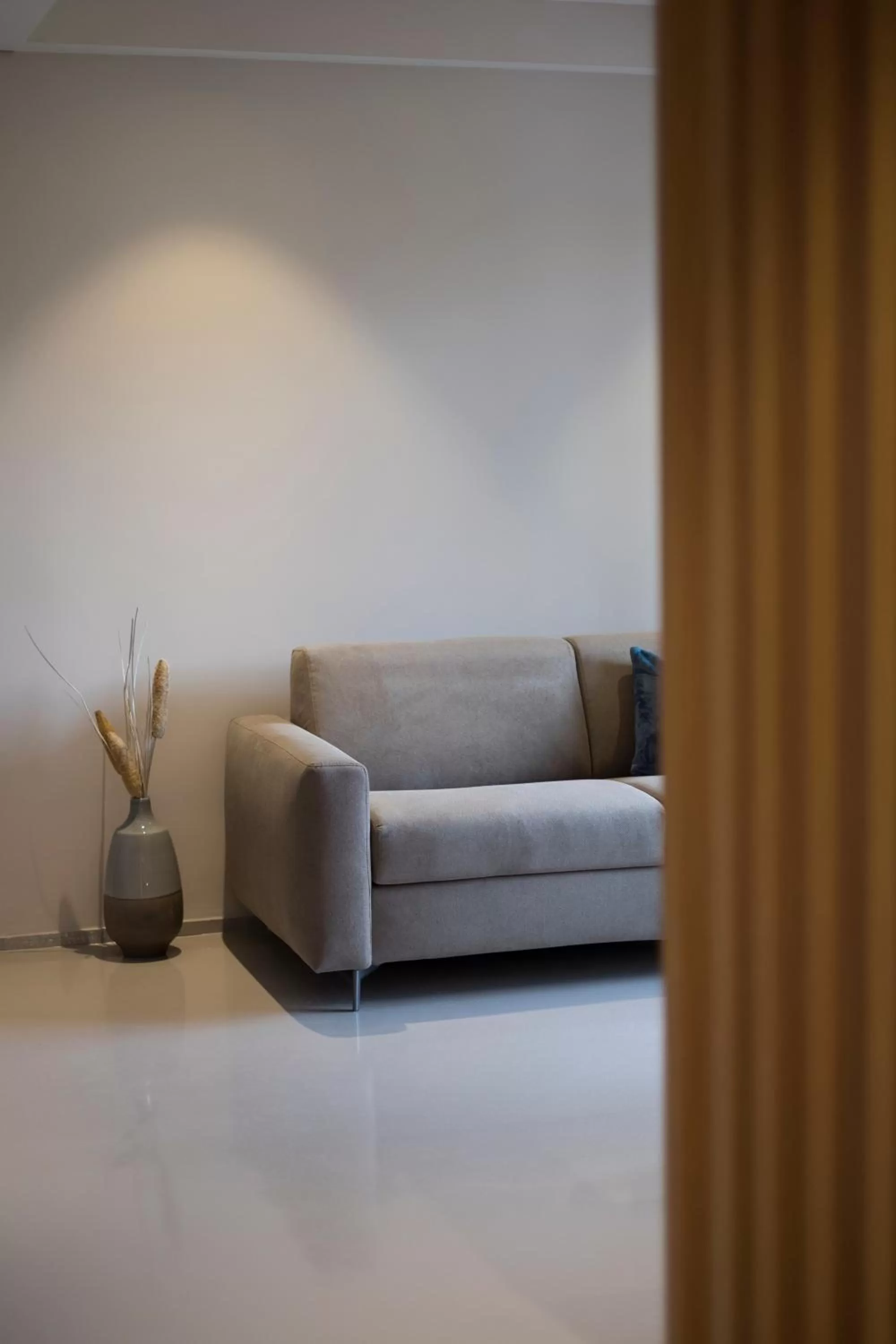 Living room in Ollen apartments