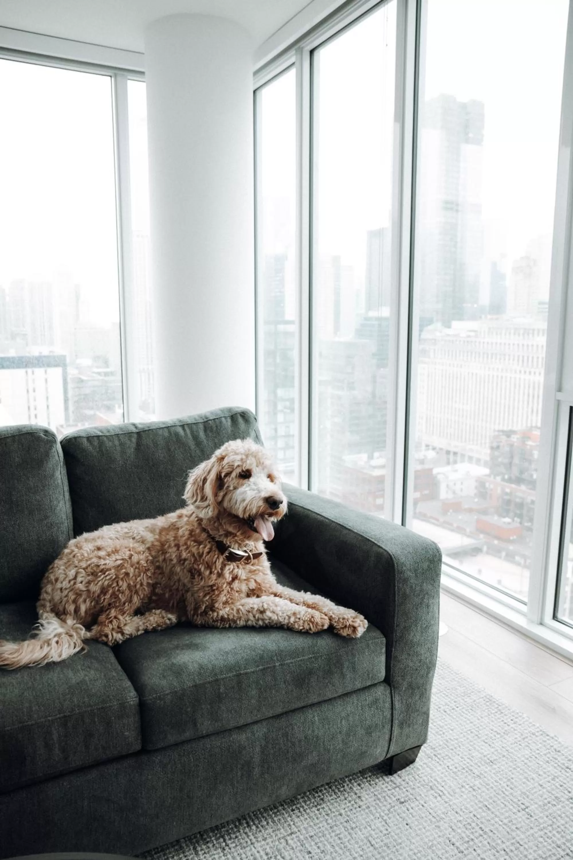 Living room in Level Chicago - Old Town
