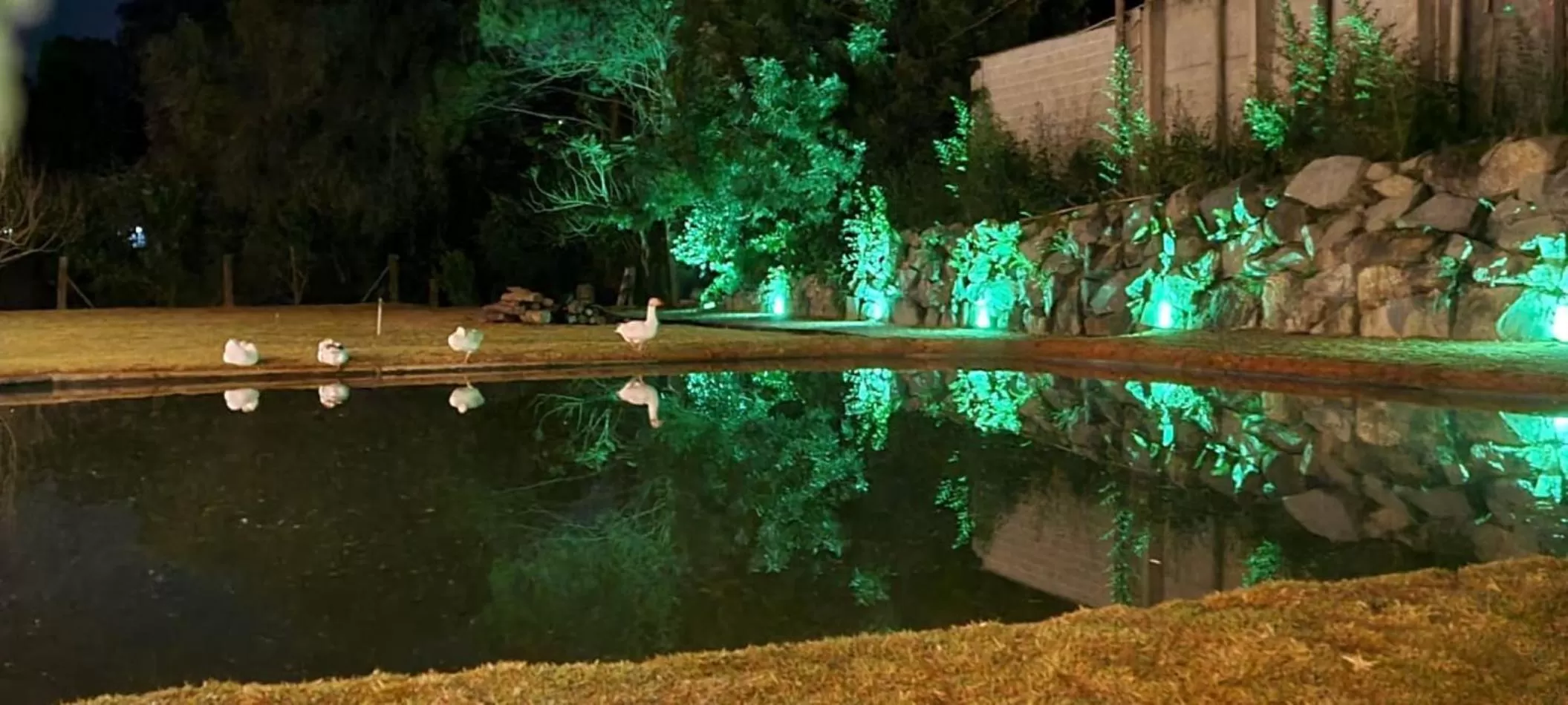 Night, Swimming Pool in Pousada Trem Chic