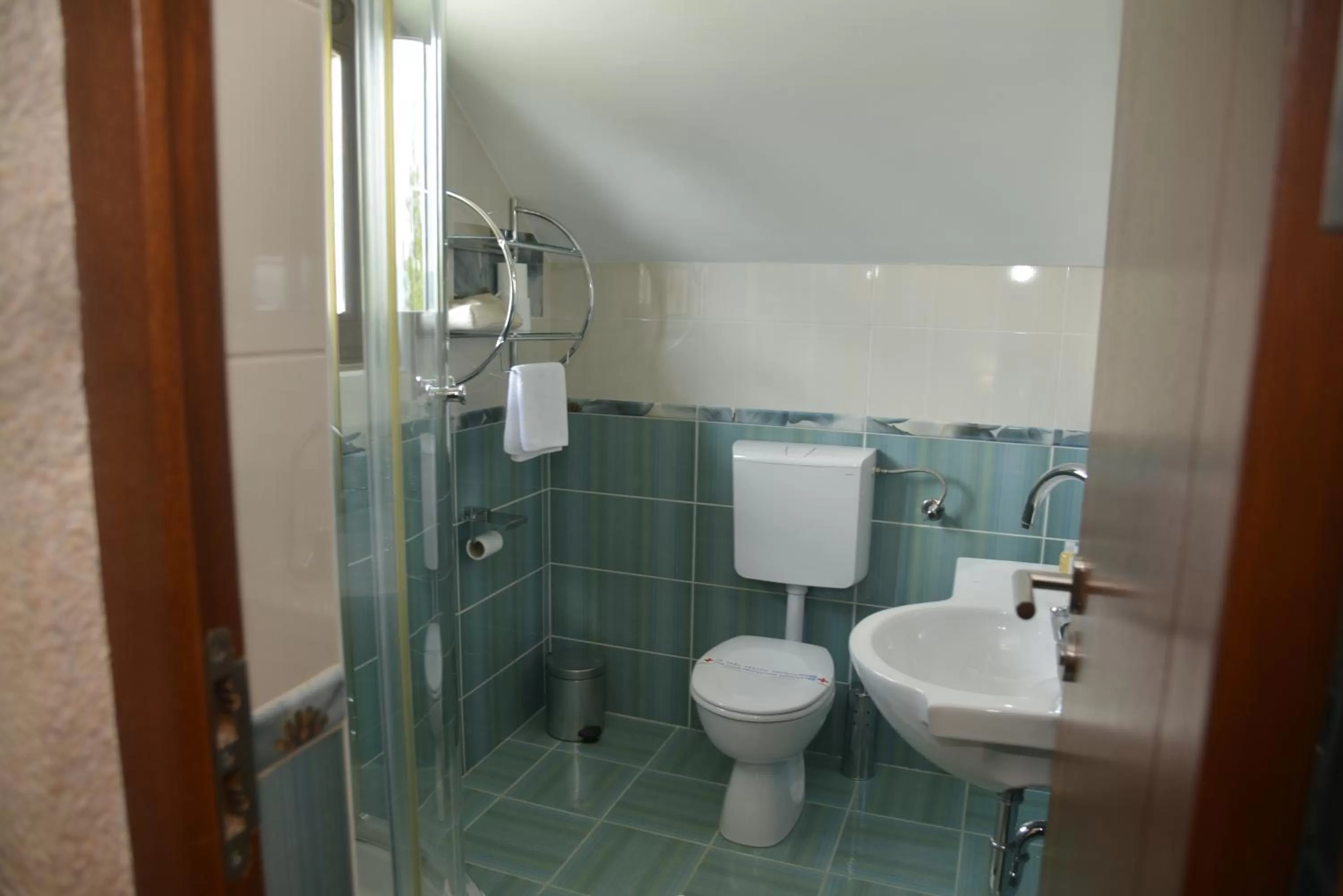 Shower, Bathroom in Hotel Trebjesa