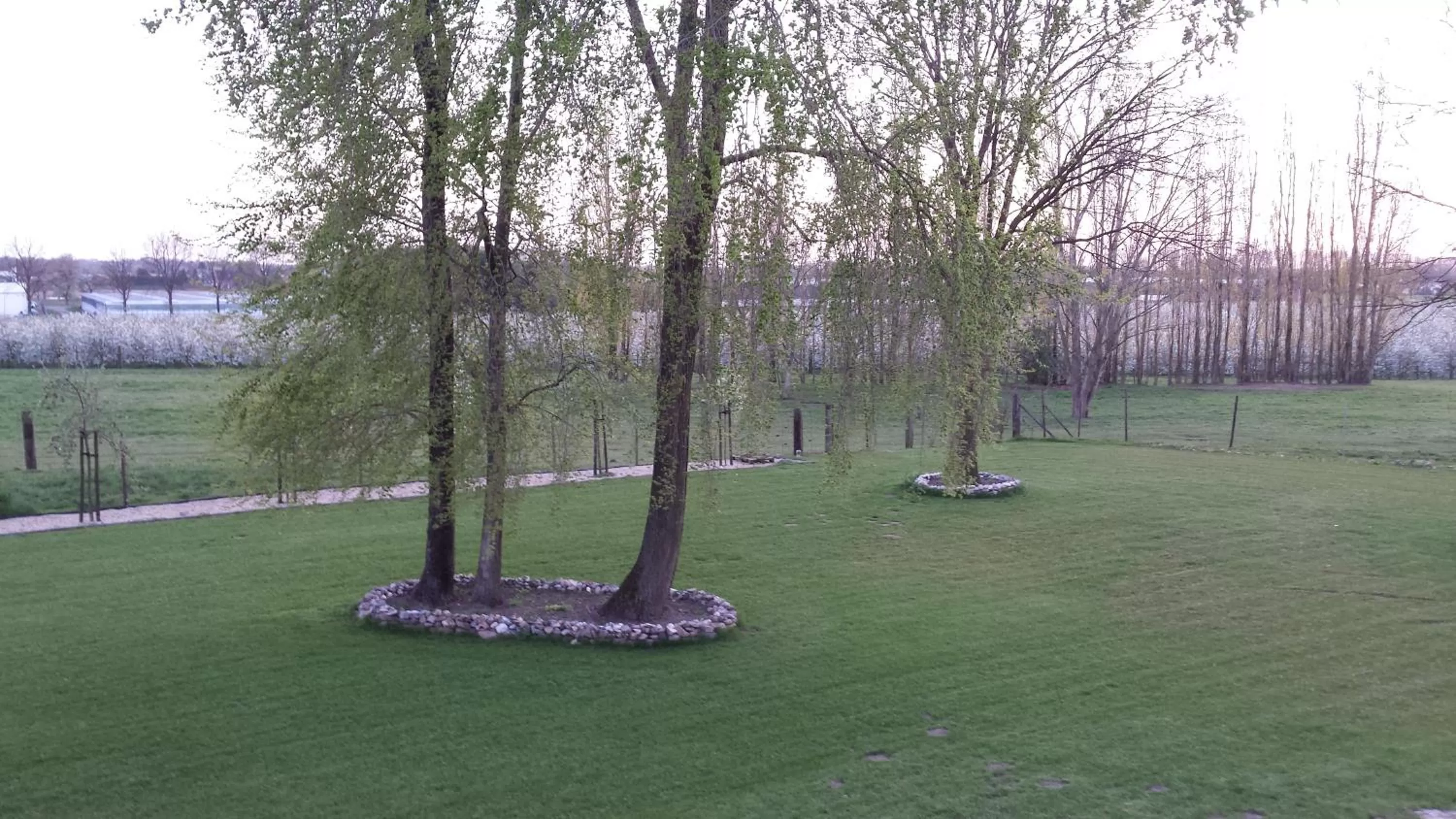 Garden in B&B Johannes-Hoeve