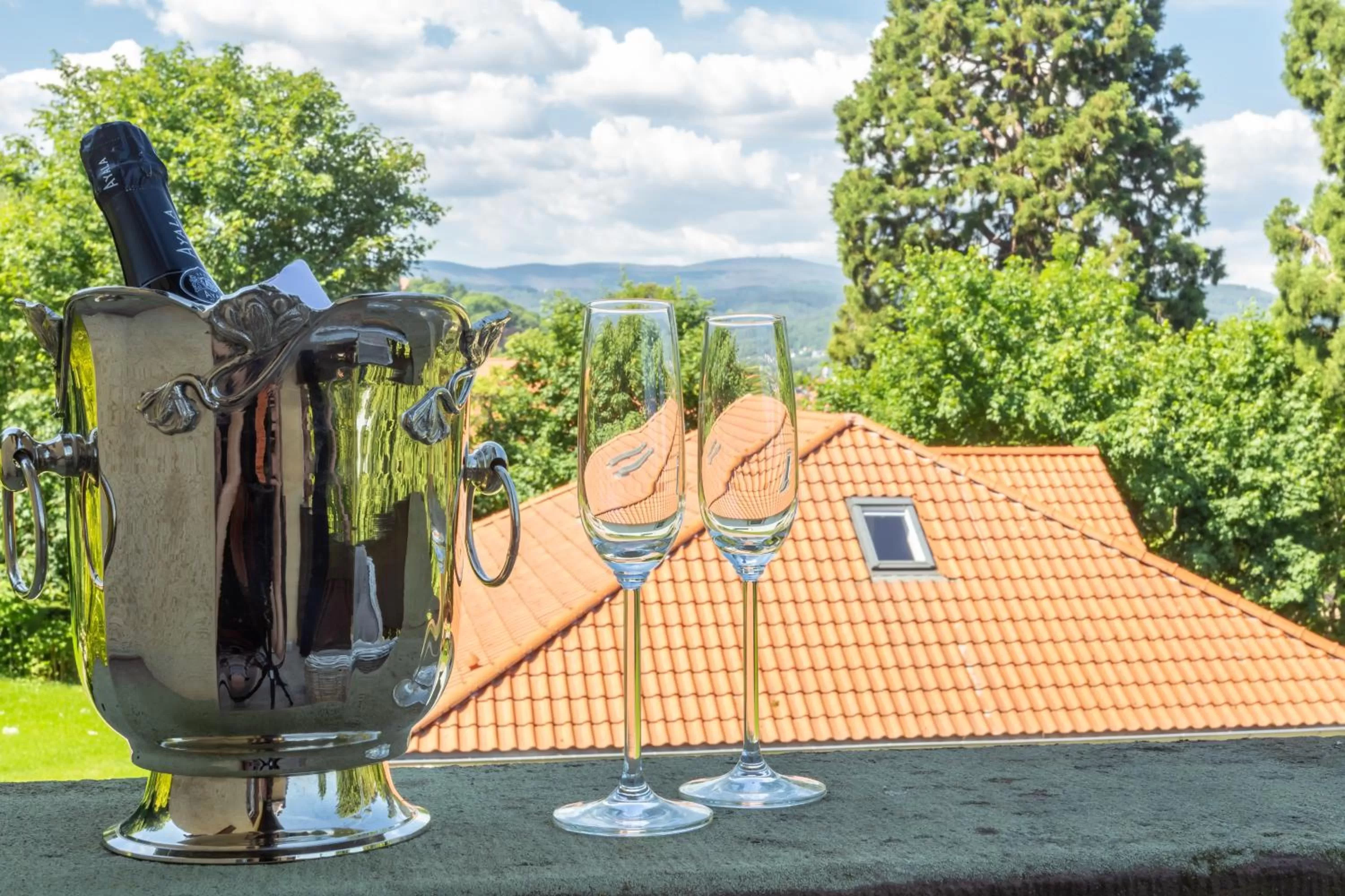 Balcony/Terrace in Hotel Erbprinzenpalais