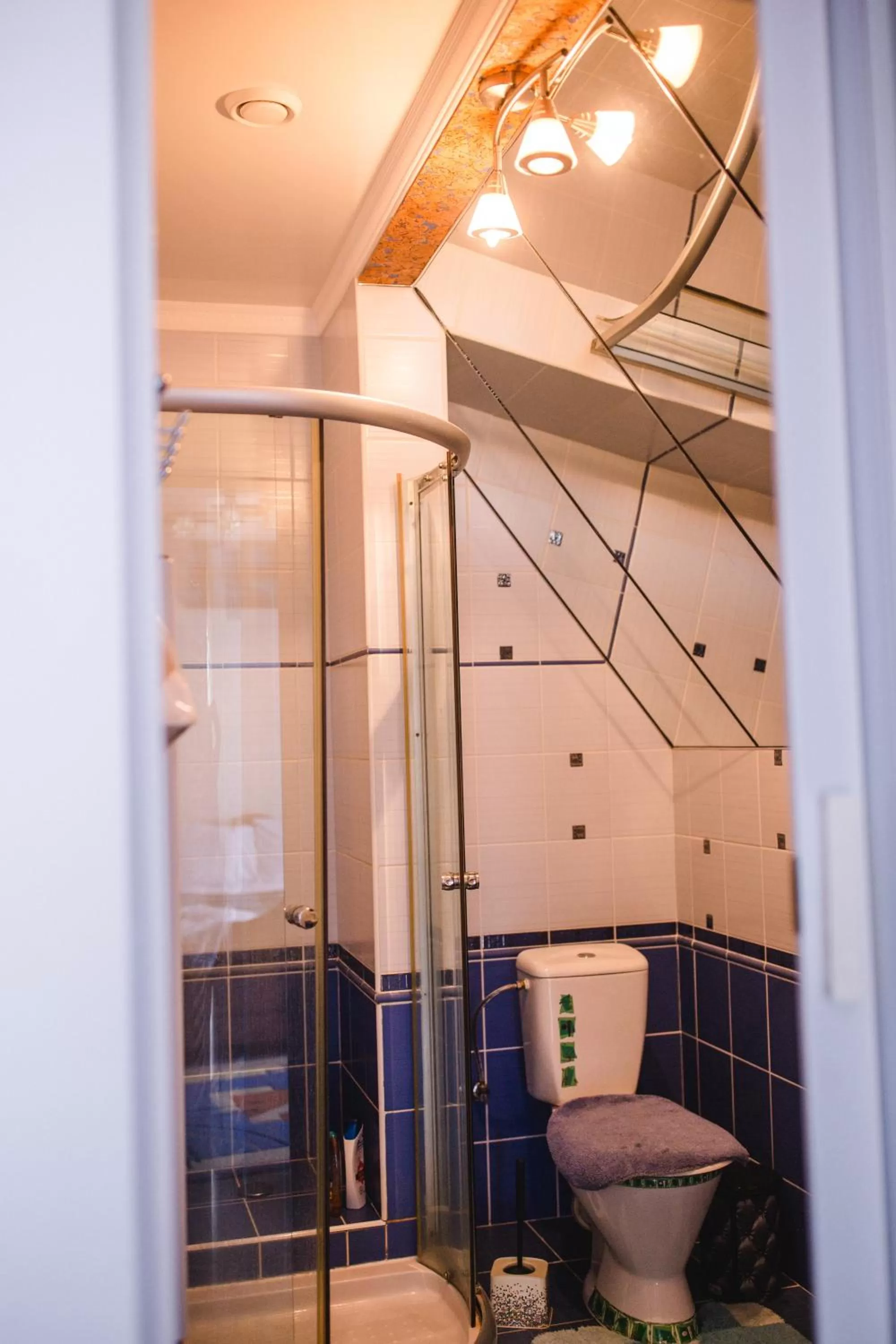 Shower, Bathroom in Kolyba Opryshkiv