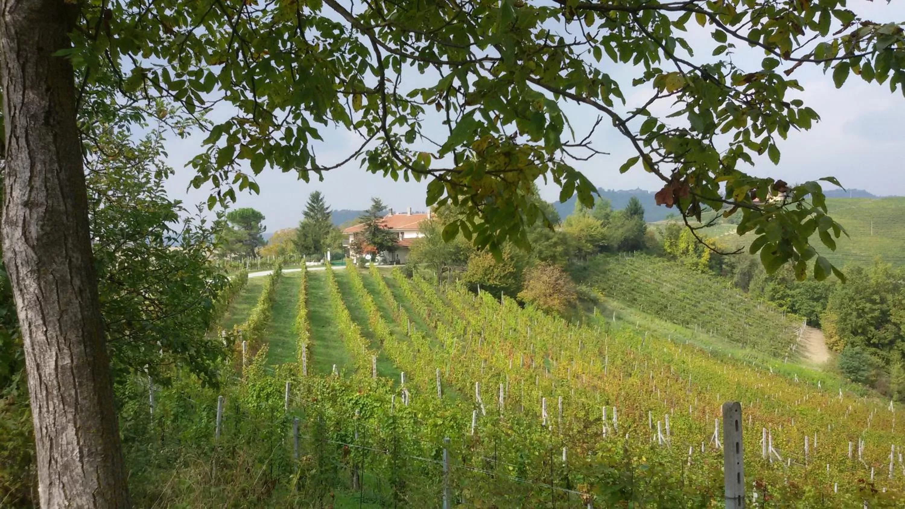 Natural landscape in Cascina Torello