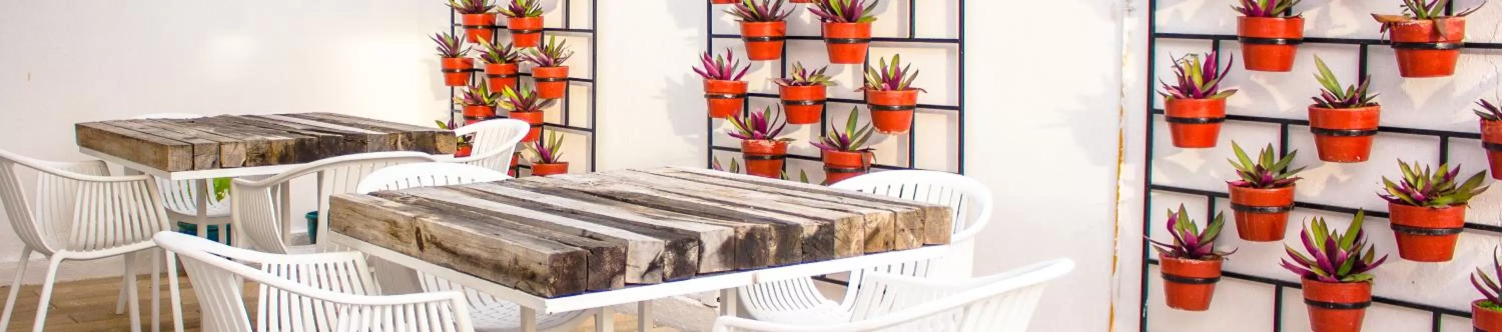 Moloch Hostel & Suites