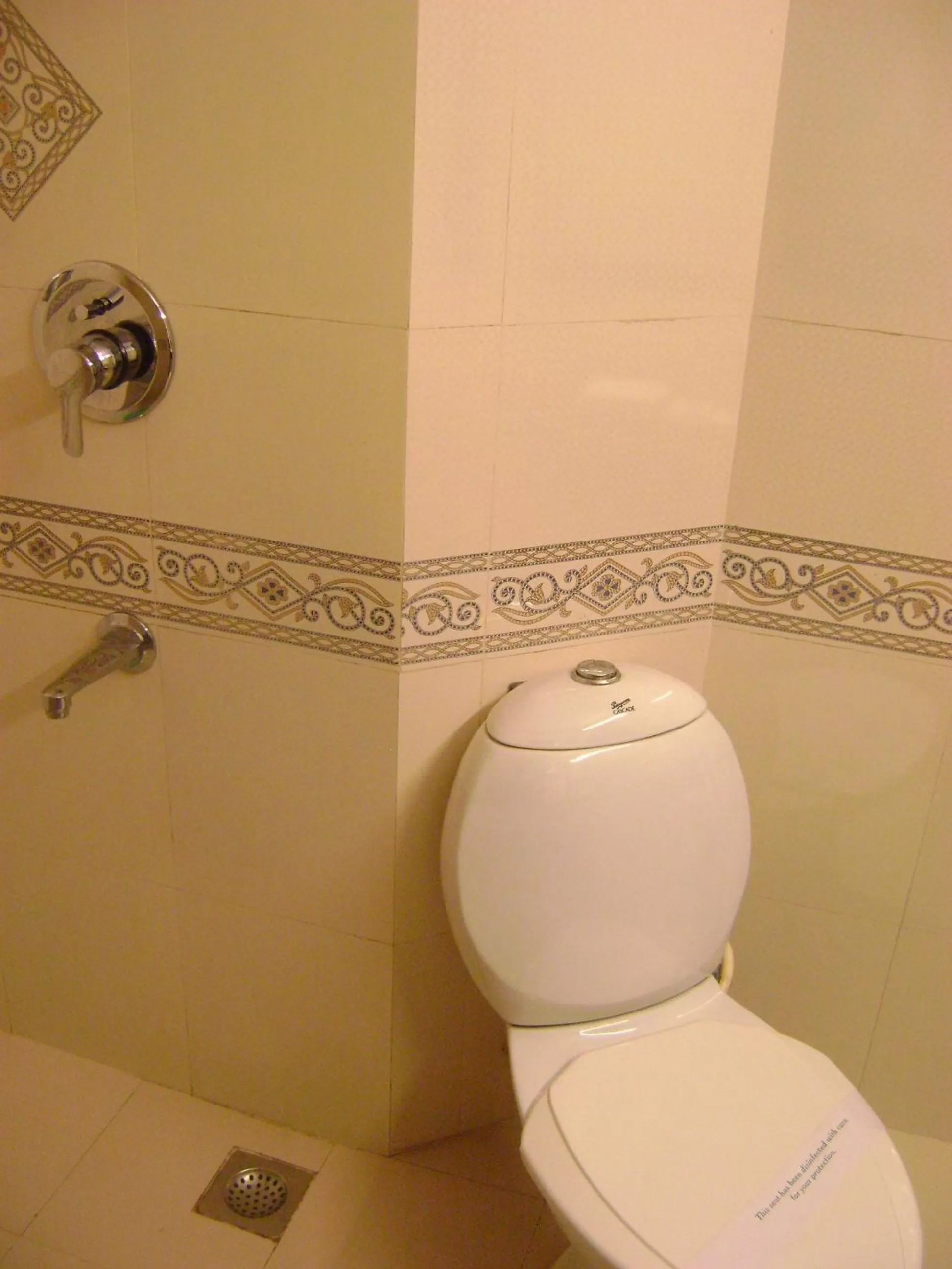 Toilet in Manuelsons Malabar Palace