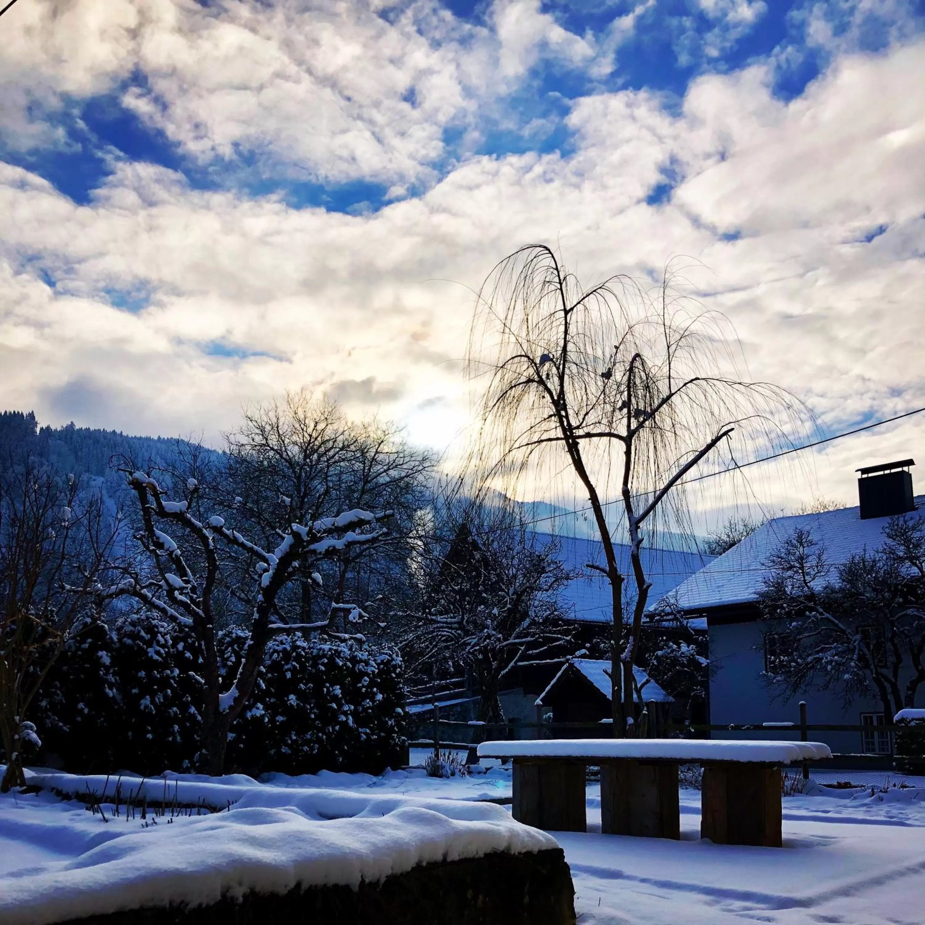 Winter in B&B Leonhard 7