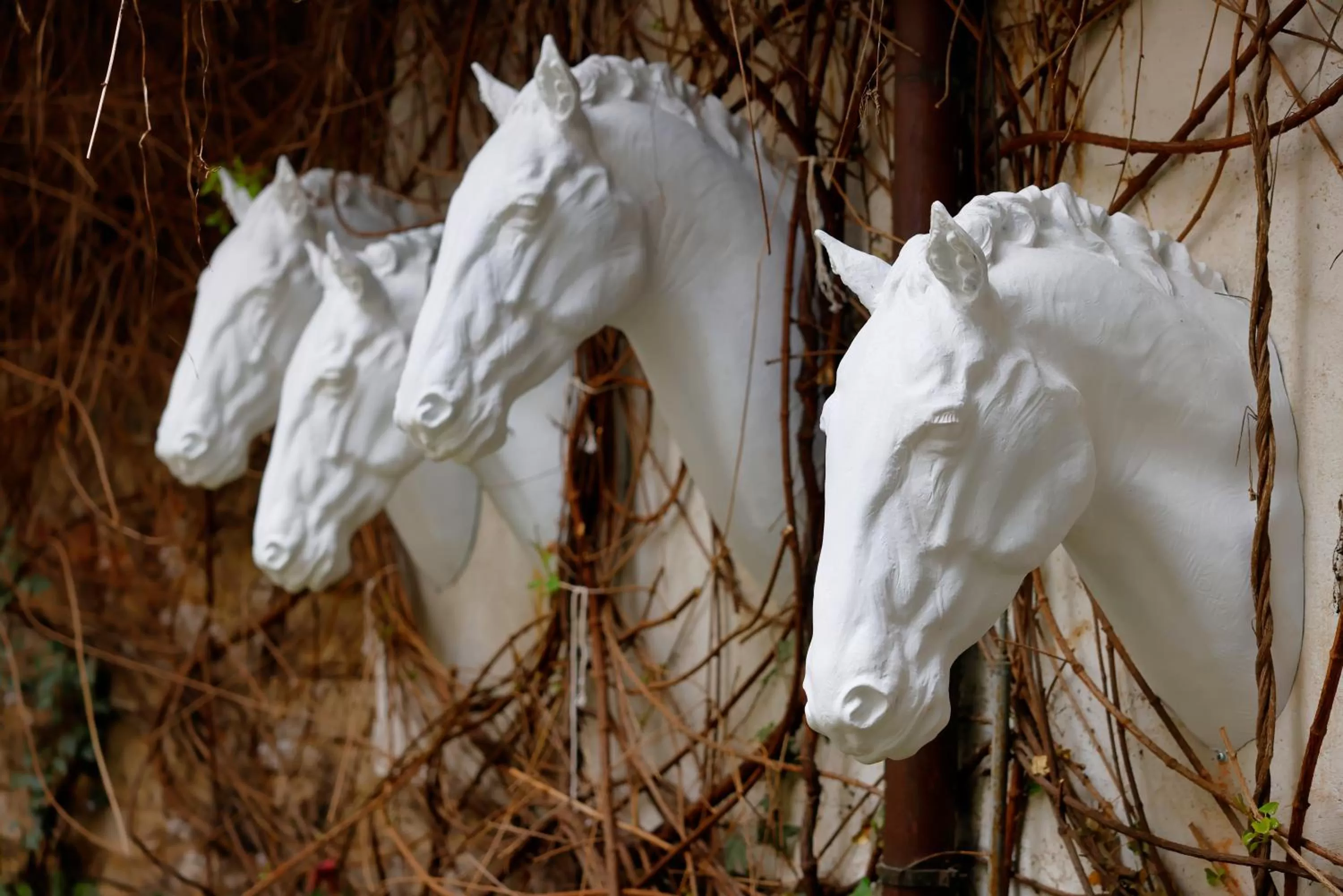 Property building in Hotel Prokop Square
